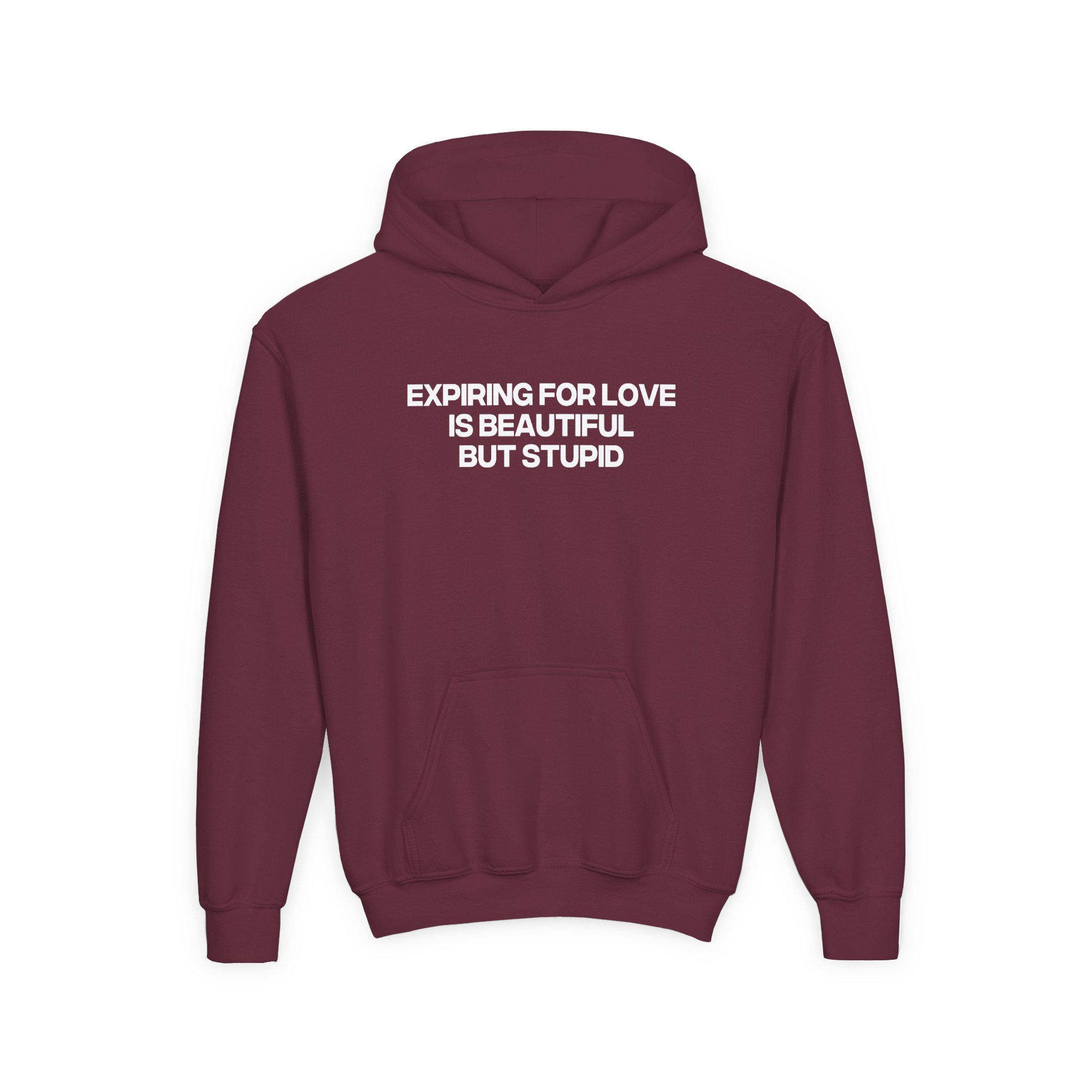 Jenny Holzer Expiring for Love is Beautiful but Stupid Youth Heavy Blend Hooded Sweatshirt - Image 3