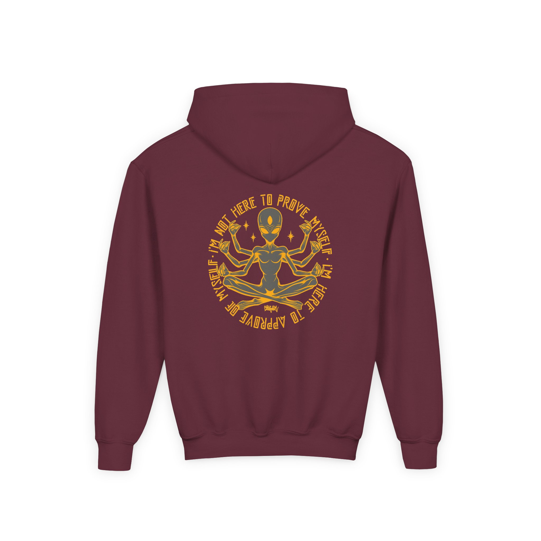 Lsdream Cosmic Upgrade Youth Heavy Blend Hooded Sweatshirt - Image 6