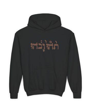 Godspeed You Black Emperor Youth Heavy Blend Hooded Sweatshirt