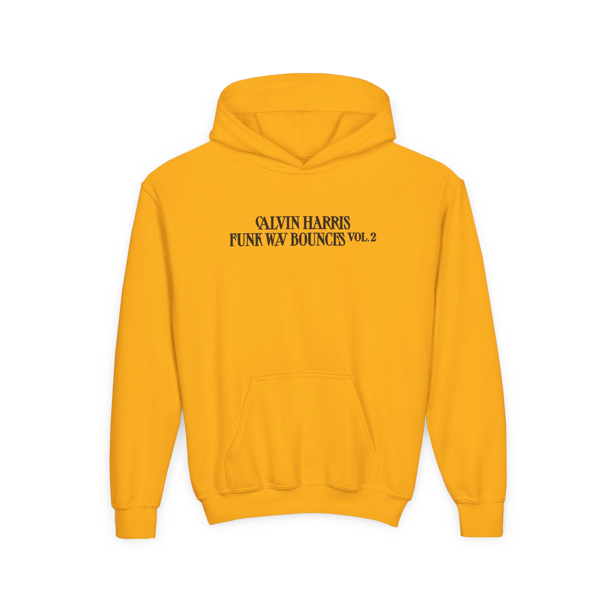 Youth Calvin Harris Funk Wav Bounces Vol. 2 Heavy Blend Hooded Sweatshirt - Image 5