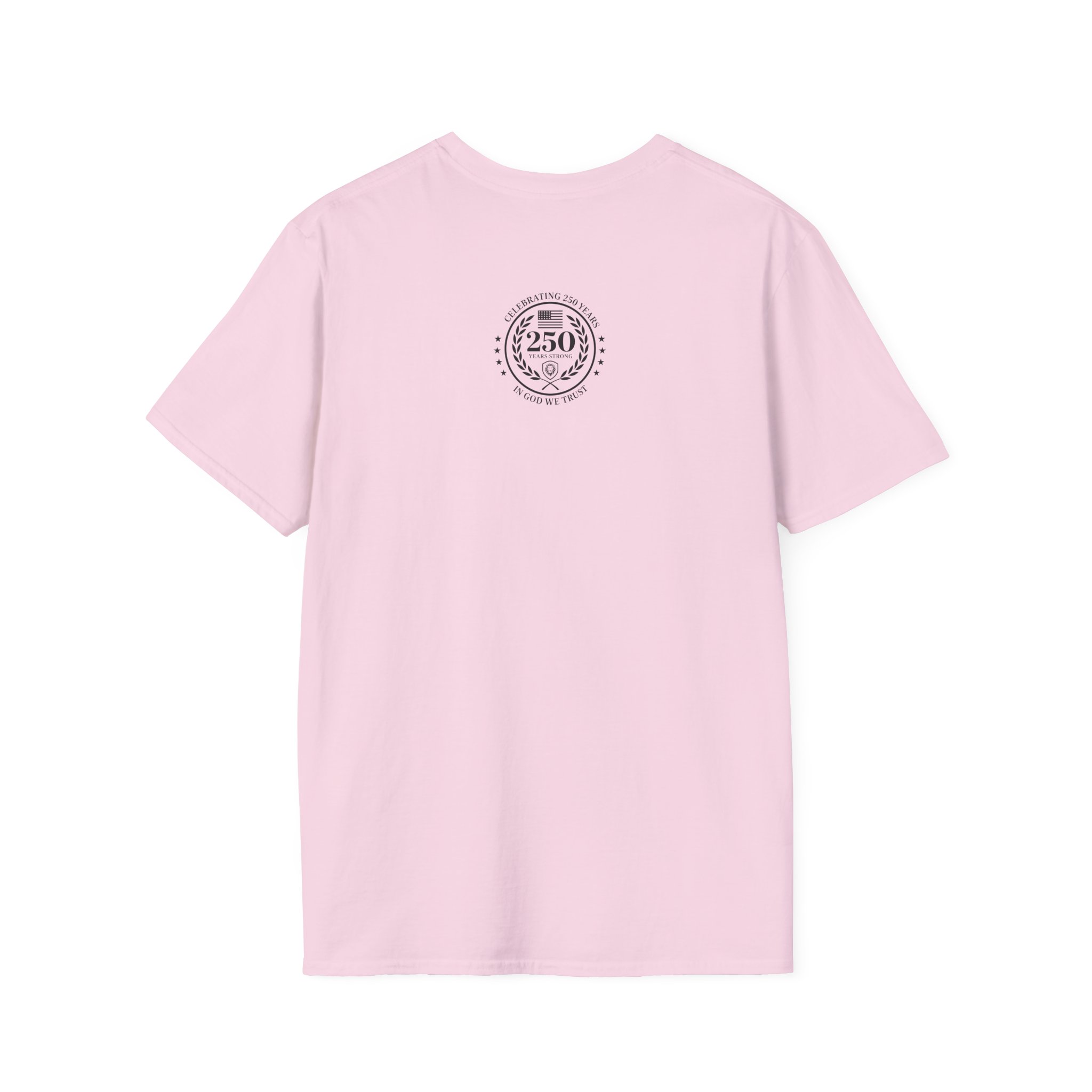 Valuetainment 250 Years No Kings Unisex Softstyle T-Shirt - Image 22