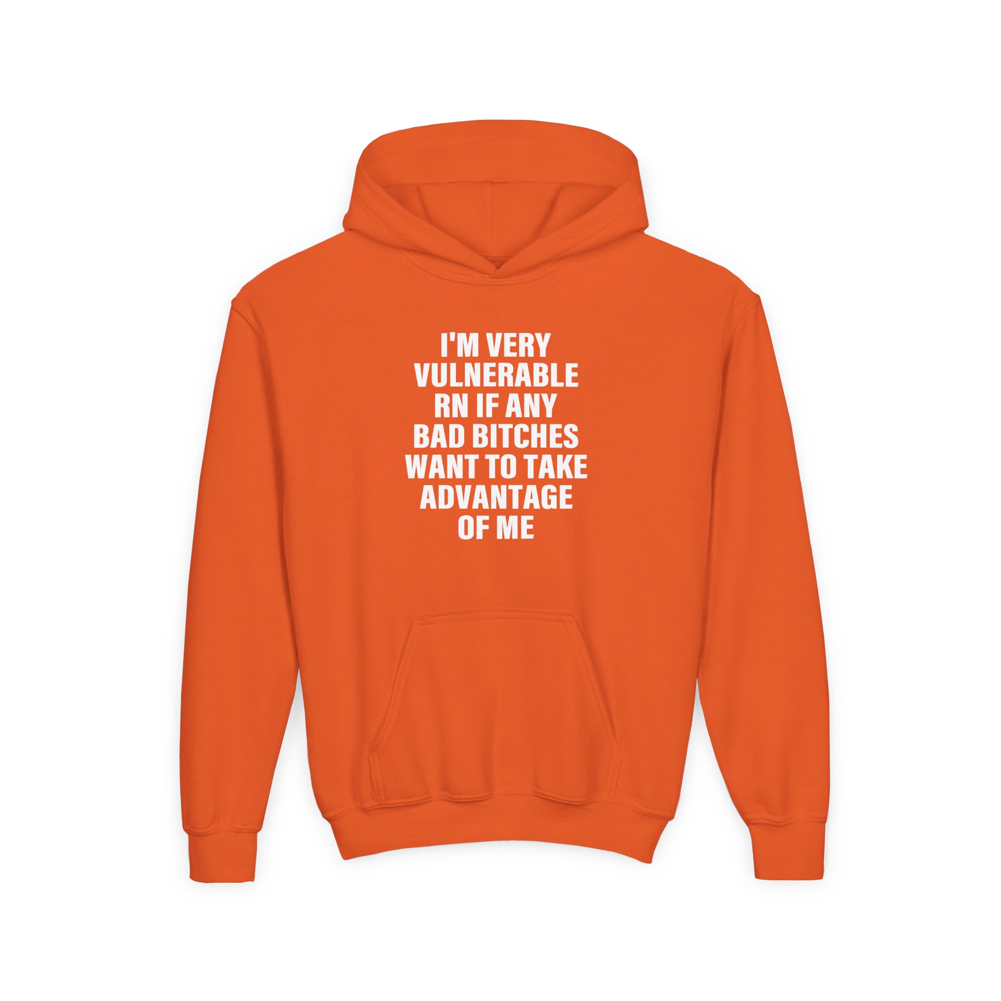 Dom Dolla I'm Very Vulnerable Rn if Any Bad Bitches Want to Take Advantage of Me Youth Heavy Blend Hooded Sweatshirt - Image 3