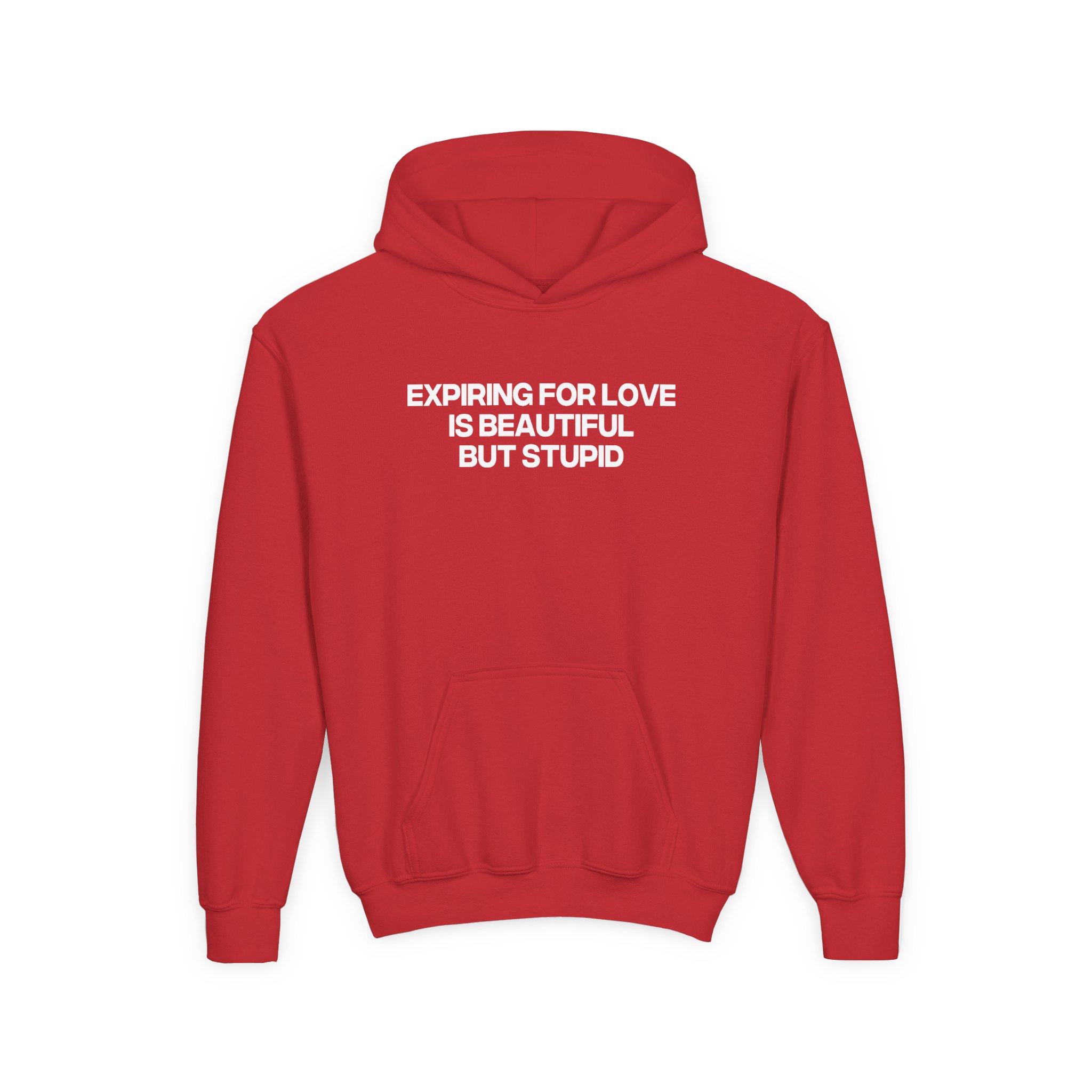 Jenny Holzer Expiring for Love is Beautiful but Stupid Youth Heavy Blend Hooded Sweatshirt - Image 13