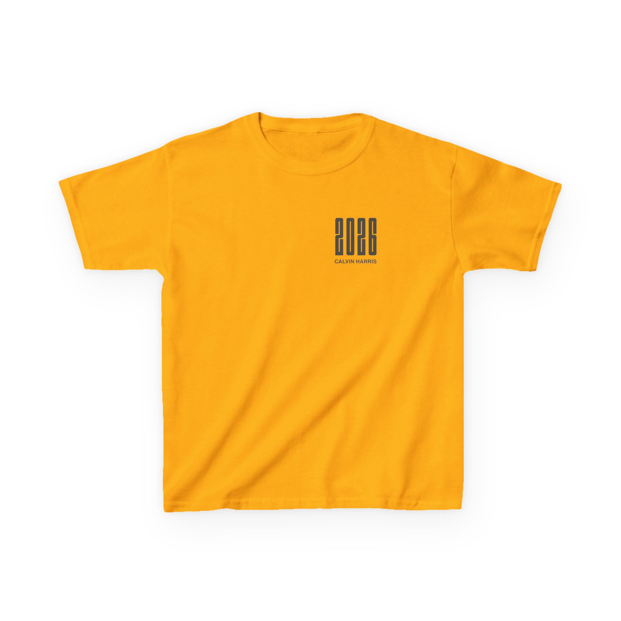 Kids Calvin Harris Malahide Castle Tour Heavy Cotton™ Tee - Image 9