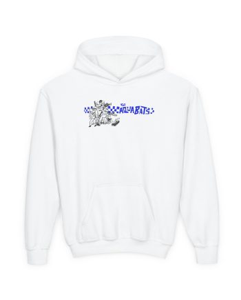 The Aquabats Archive Toddler Baseball Youth Heavy Blend Hooded Sweatshirt