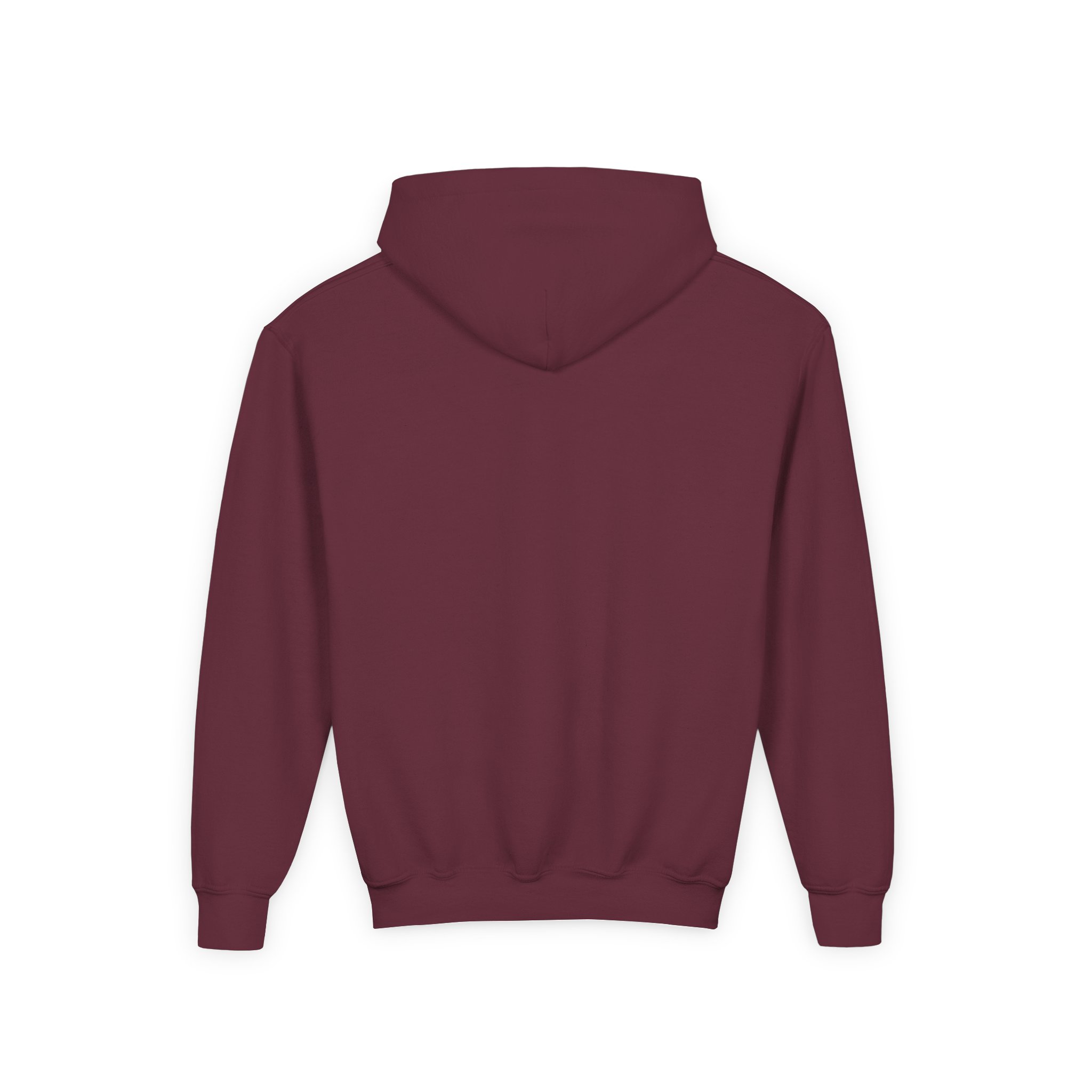 Djo The Crux Youth Heavy Blend Hooded Sweatshirt - Image 4