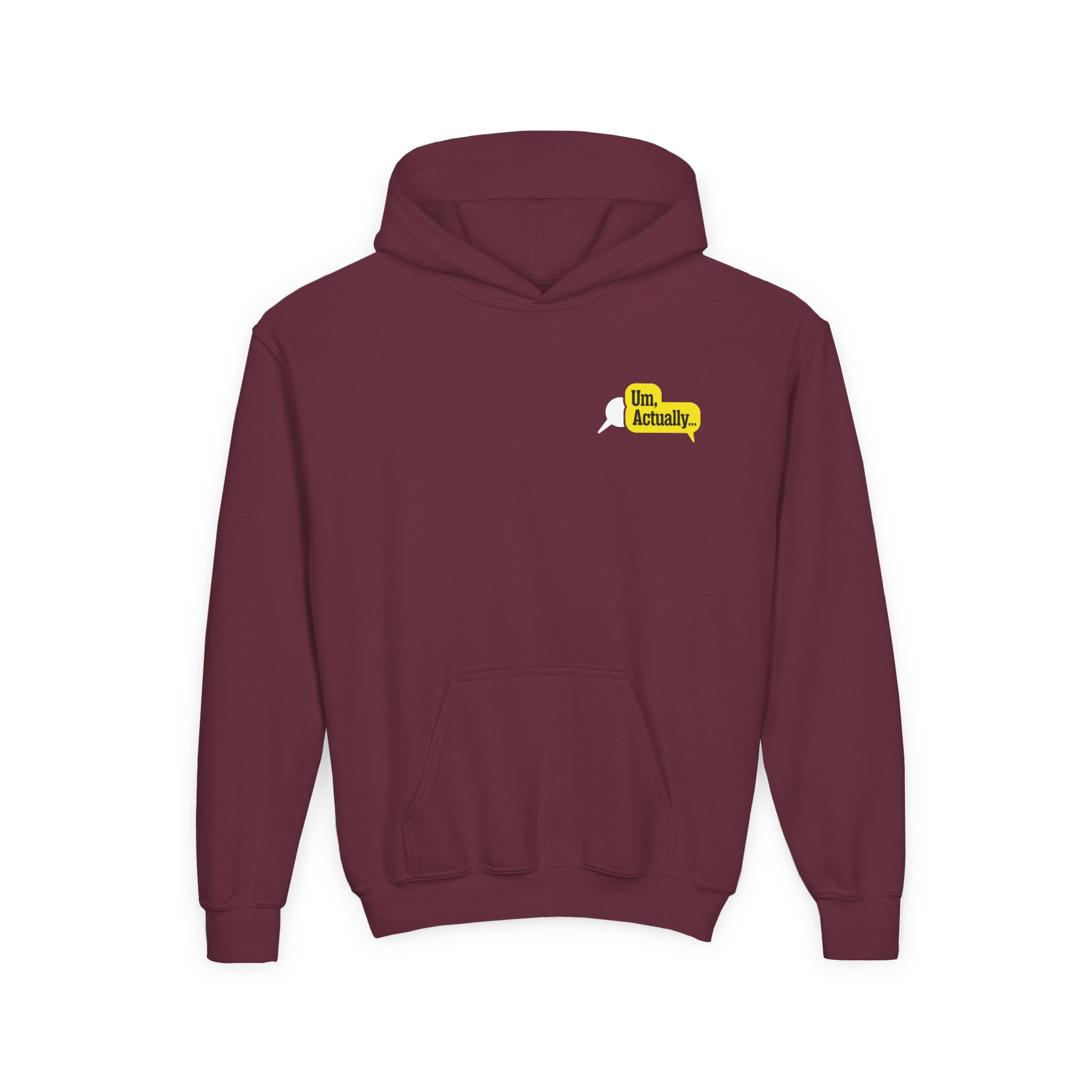 Dropout Um, Actually Fact Checker Youth Heavy Blend Hooded Sweatshirt - Image 3