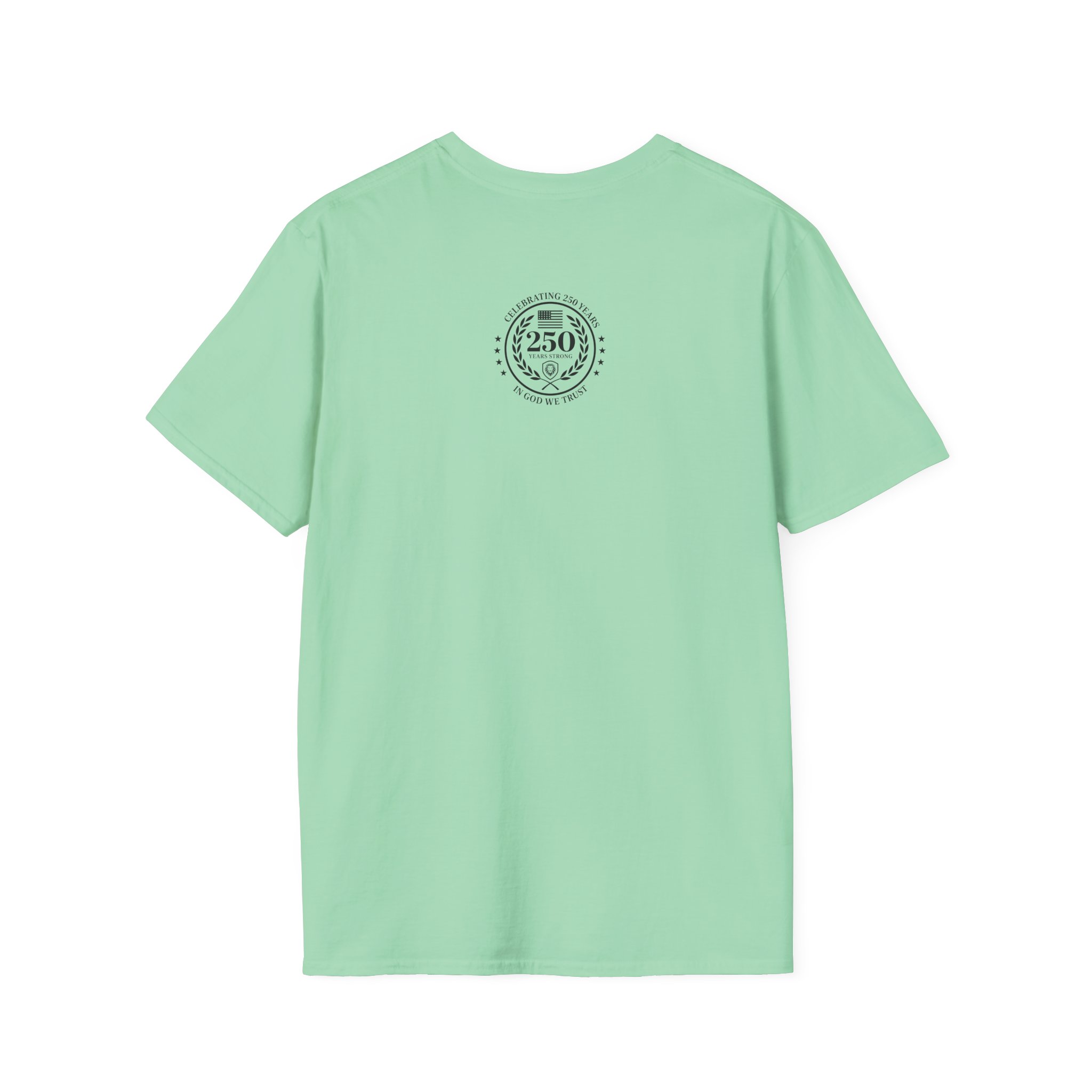 Valuetainment 250 Years No Kings Unisex Softstyle T-Shirt - Image 16