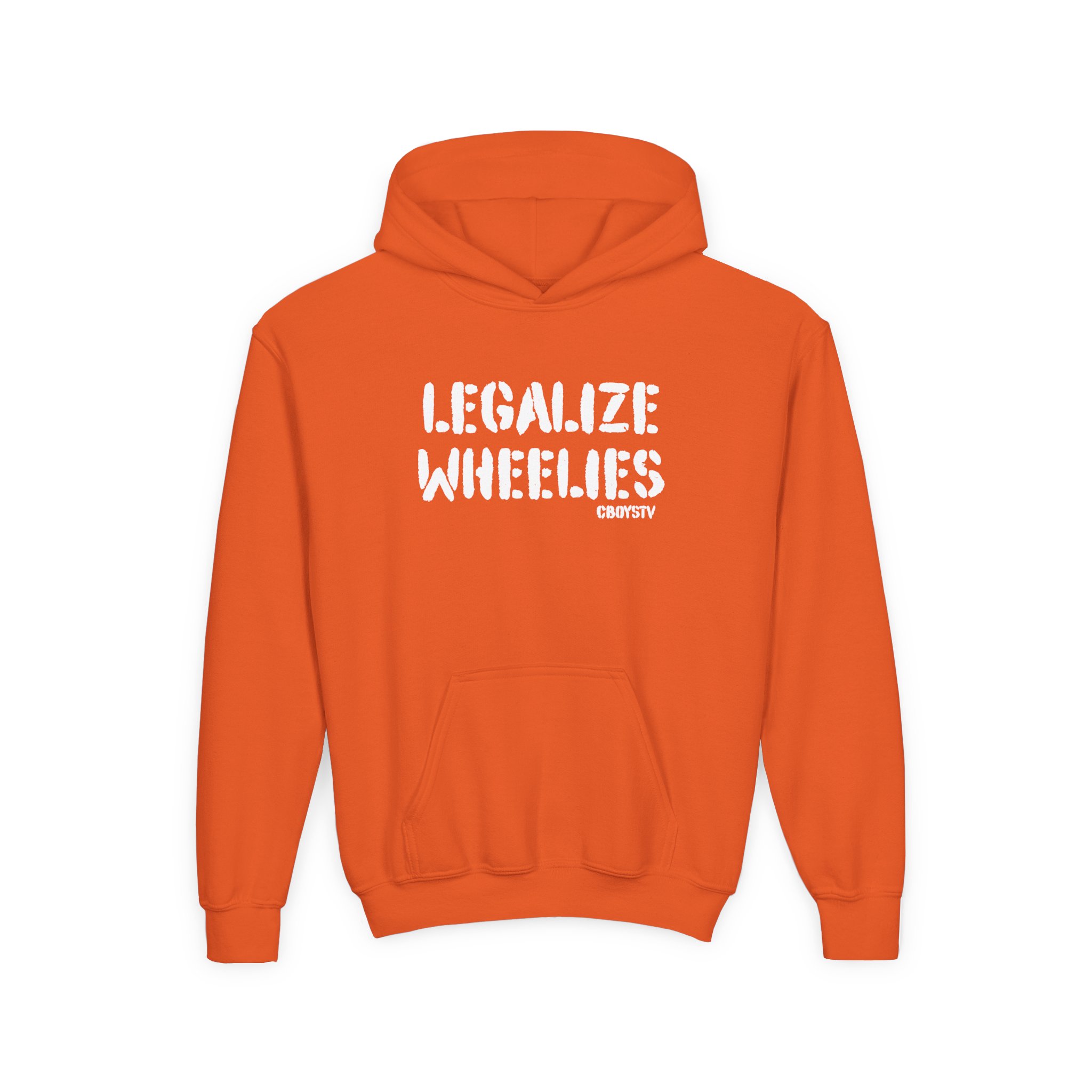Cboystv Legalize Wheelies Youth Heavy Blend Hooded Sweatshirt - Image 3