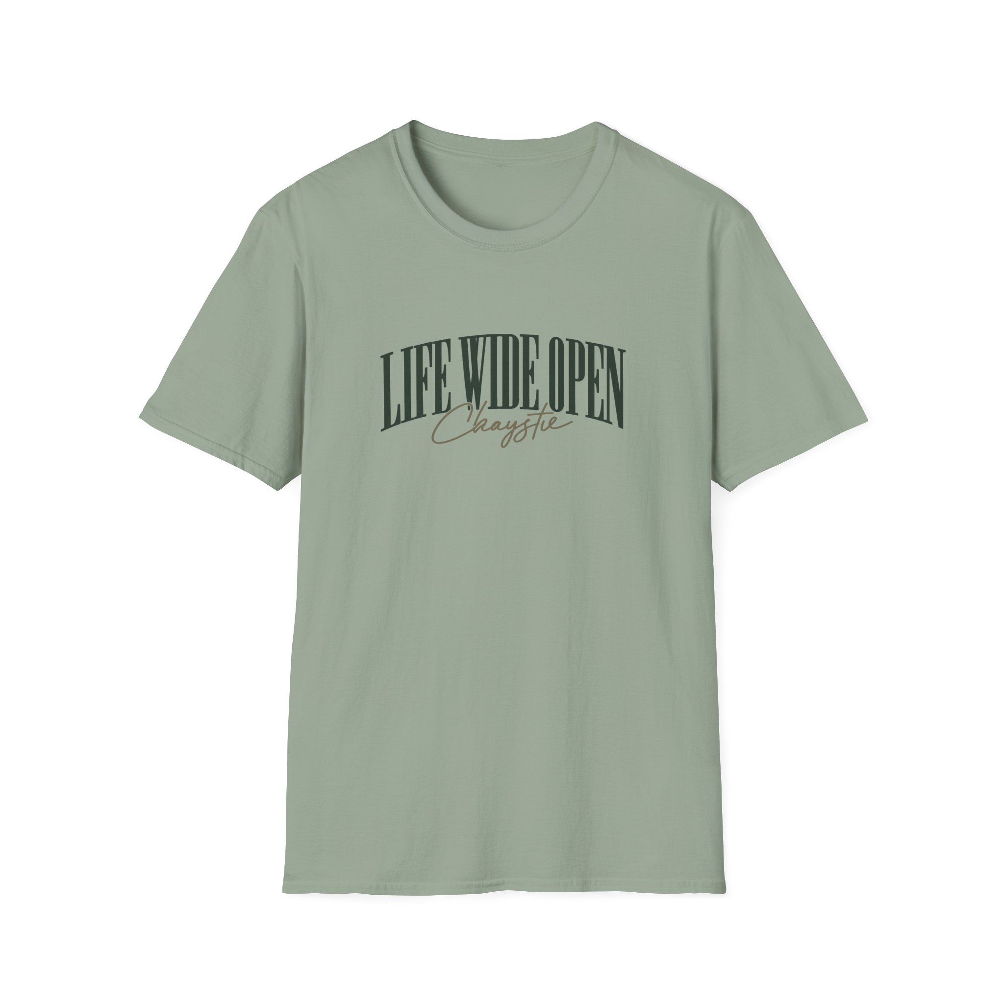 Cboystv Mallard Unisex Softstyle T-Shirt - Image 11
