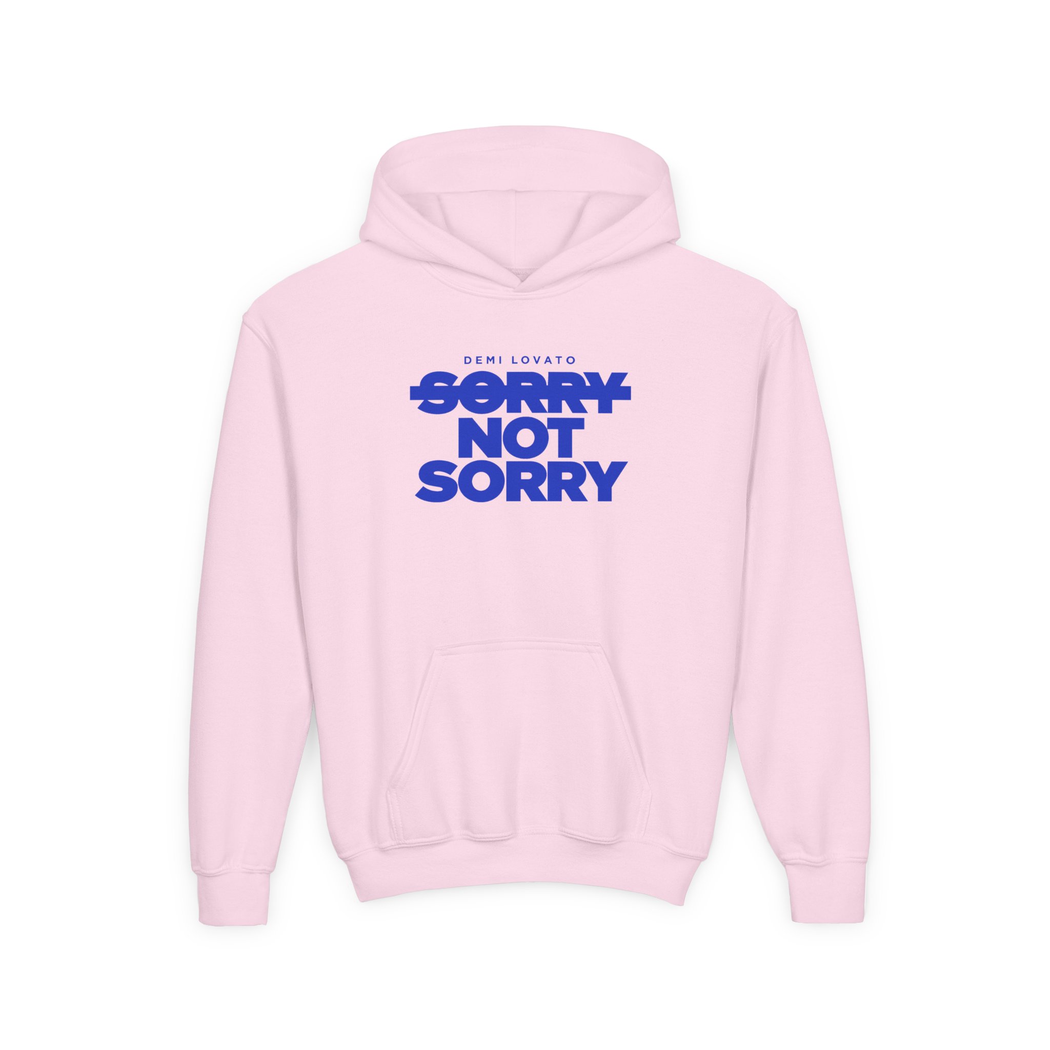 D L Sorry Not Sorry Youth Heavy Blend Hooded Sweatshirt - Image 5