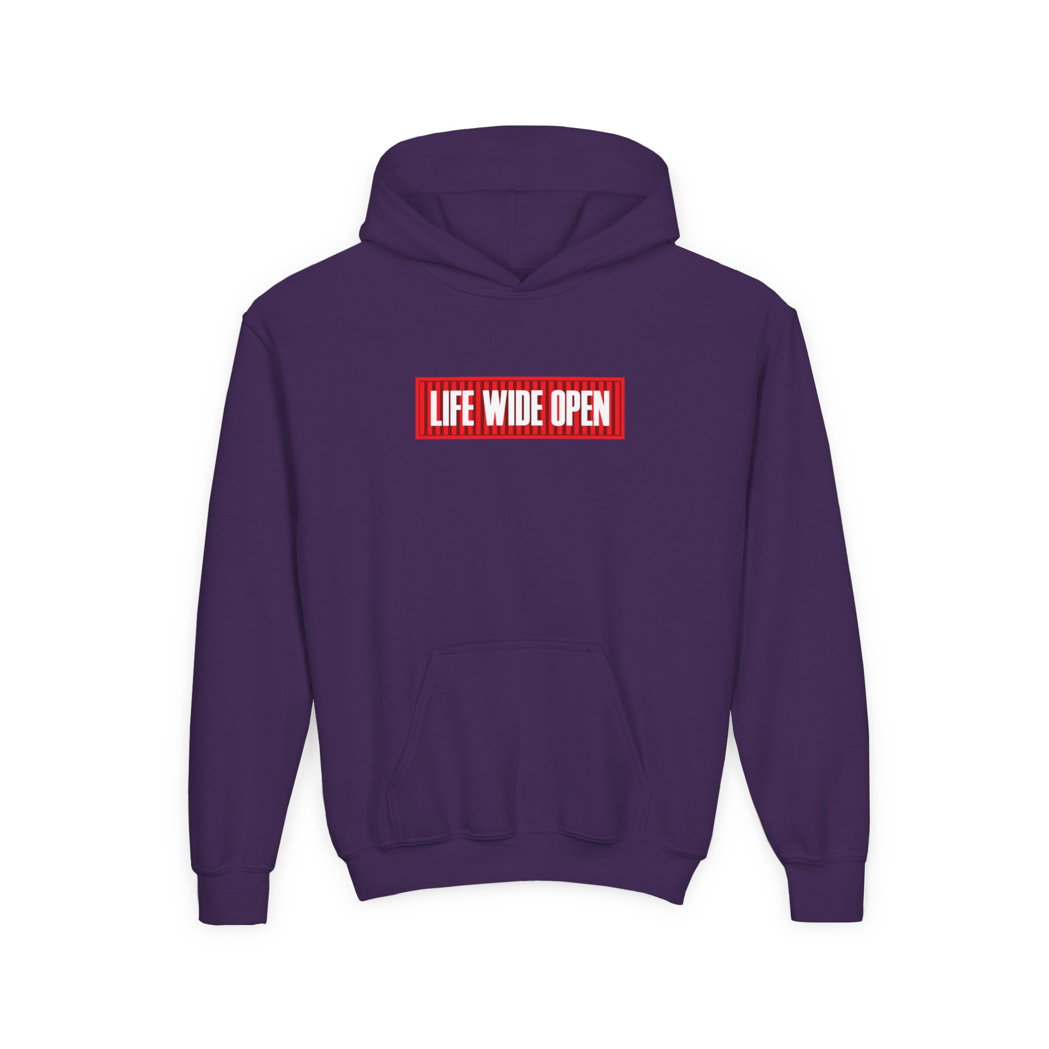 Cboystv LWO Container Youth Heavy Blend Hooded Sweatshirt - Image 19