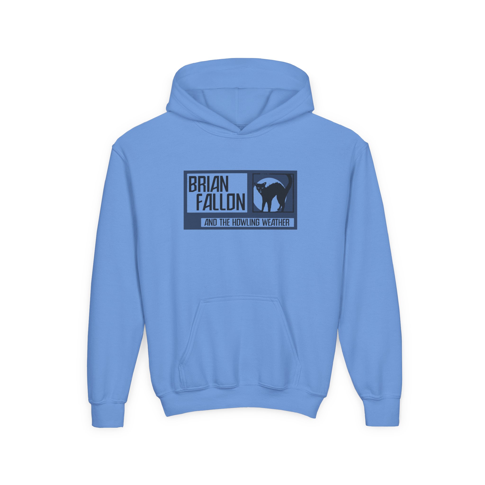 Brian Fallon Cat Youth Heavy Blend Hooded Sweatshirt - Image 5