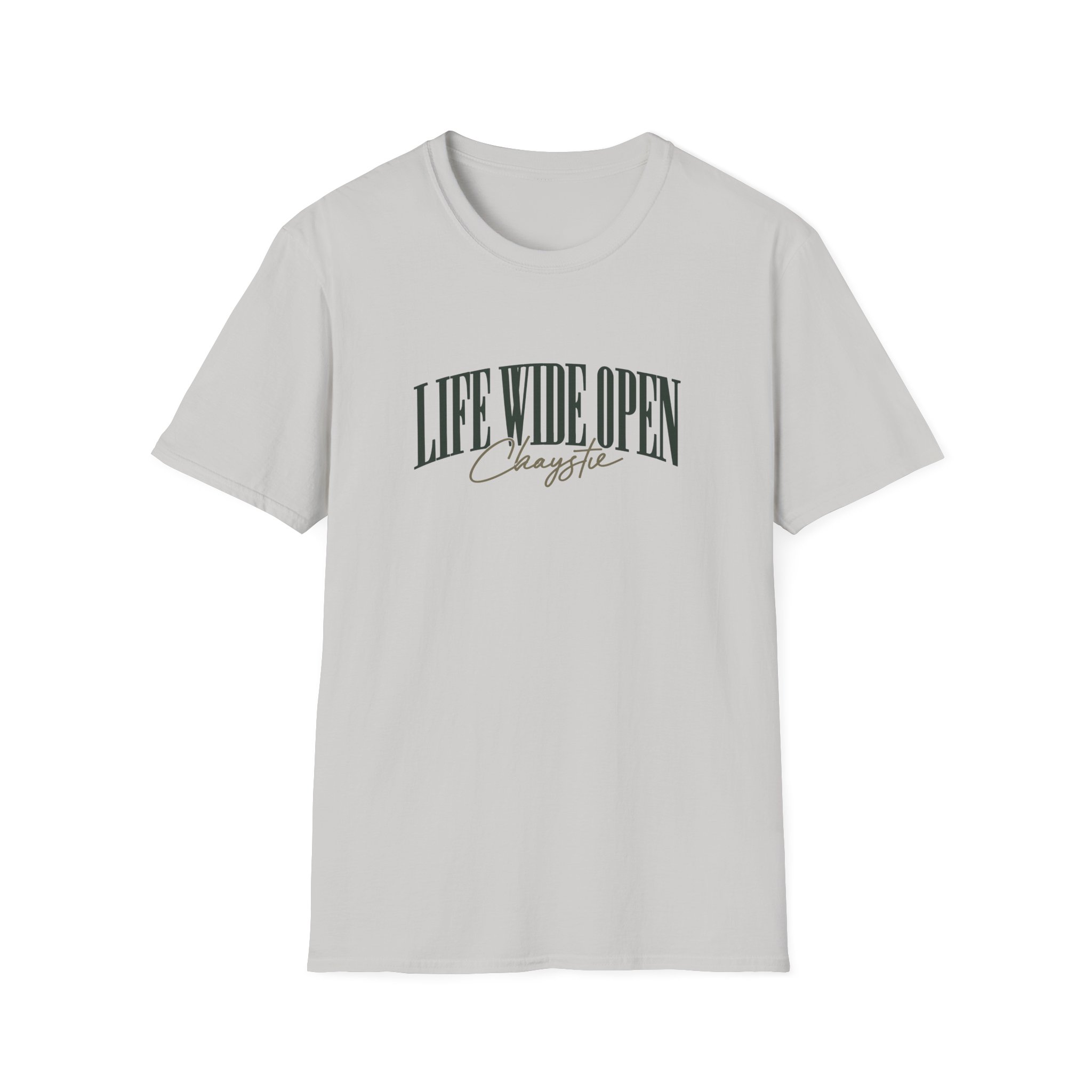 Cboystv Mallard Unisex Softstyle T-Shirt - Image 5