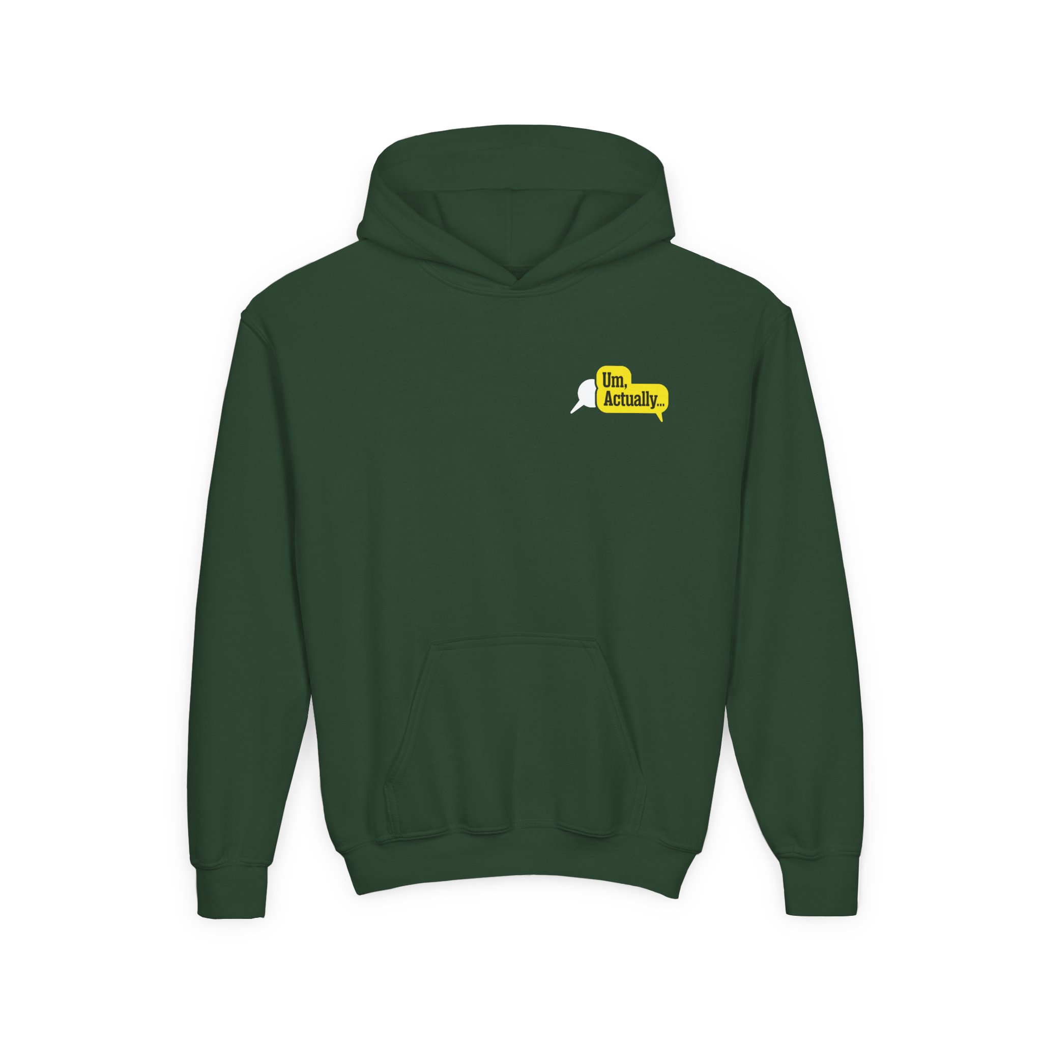 Dropout Um, Actually Fact Checker Youth Heavy Blend Hooded Sweatshirt - Image 5