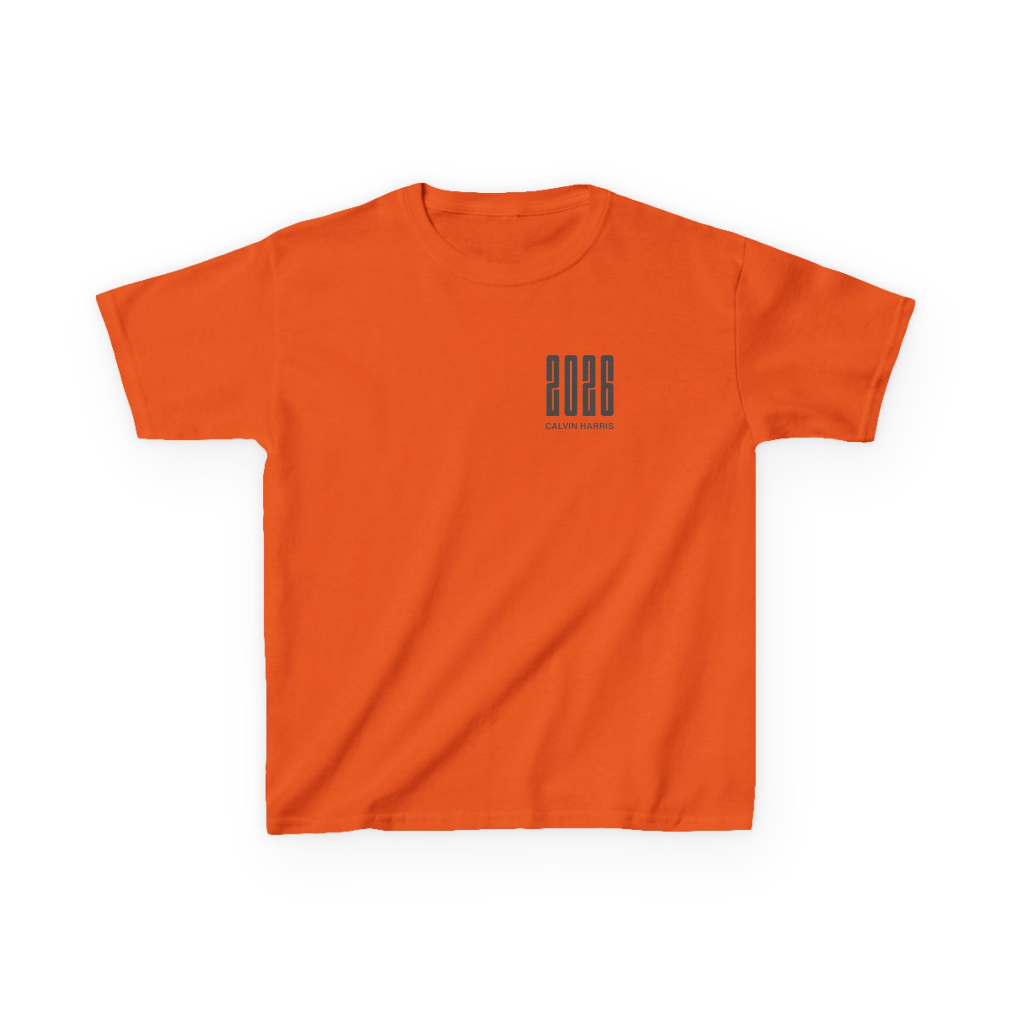 Kids Calvin Harris Malahide Castle Tour Heavy Cotton™ Tee - Image 13