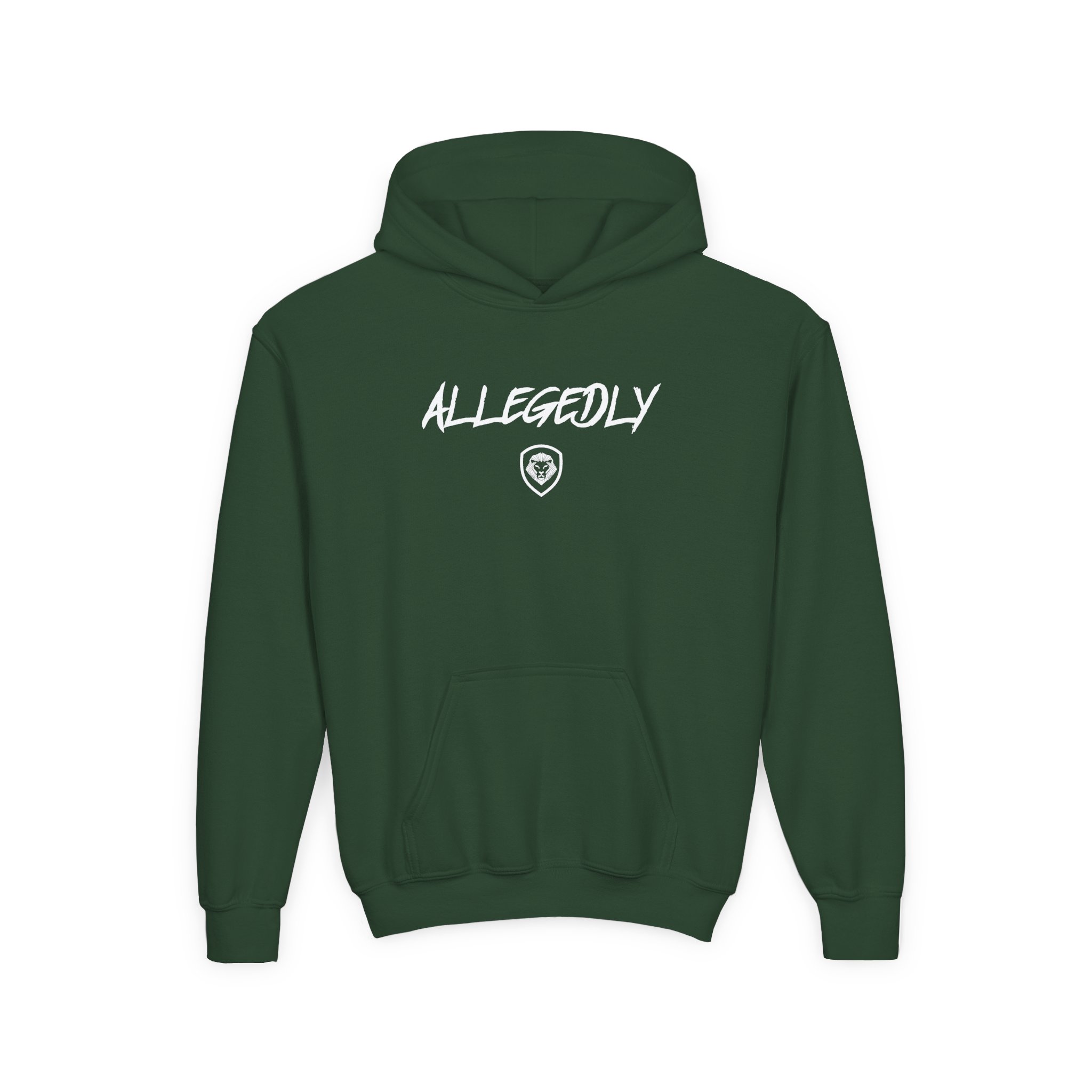 Valuetainment Allegedly Youth Heavy Blend Hooded Sweatshirt - Image 5