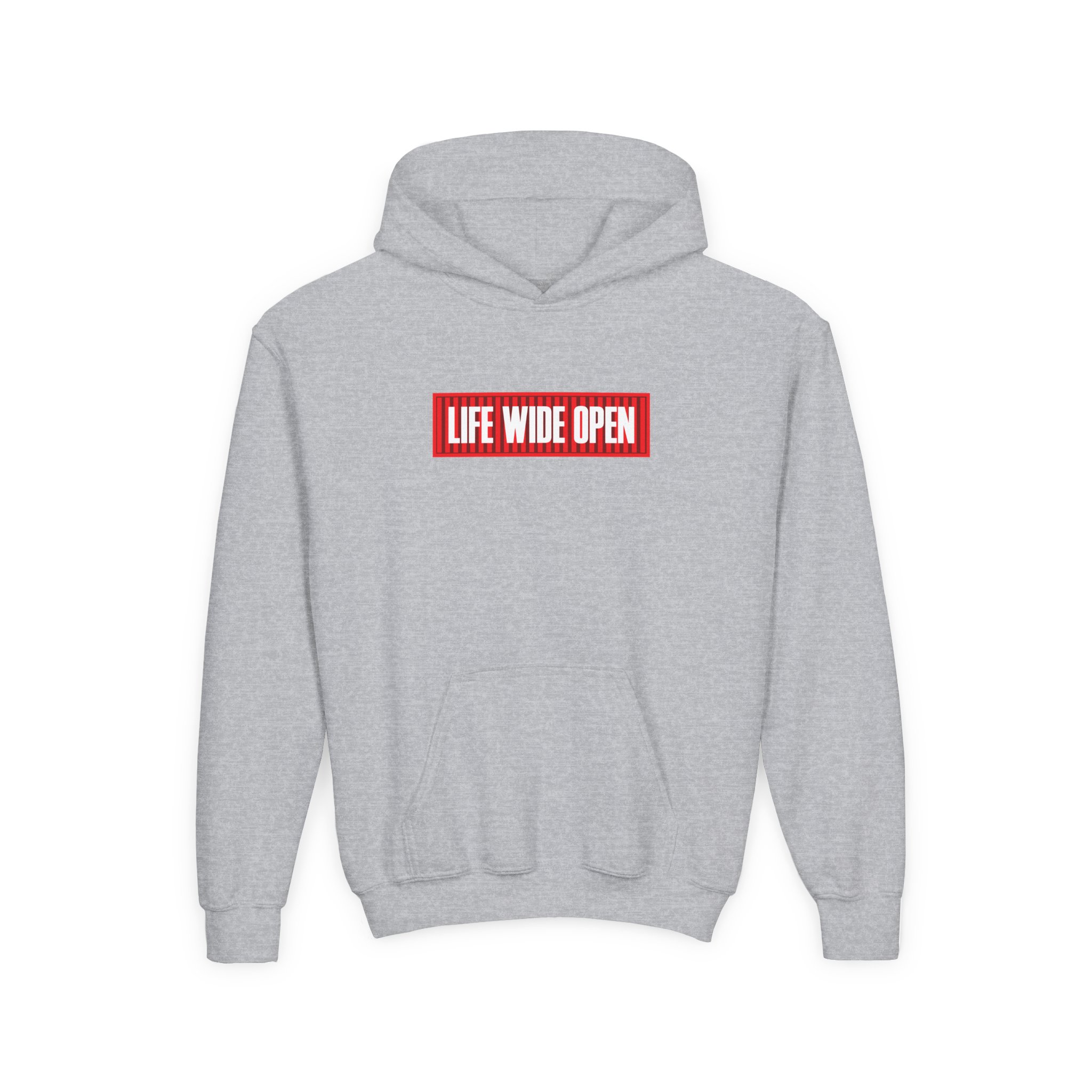 Cboystv LWO Container Youth Heavy Blend Hooded Sweatshirt - Image 5
