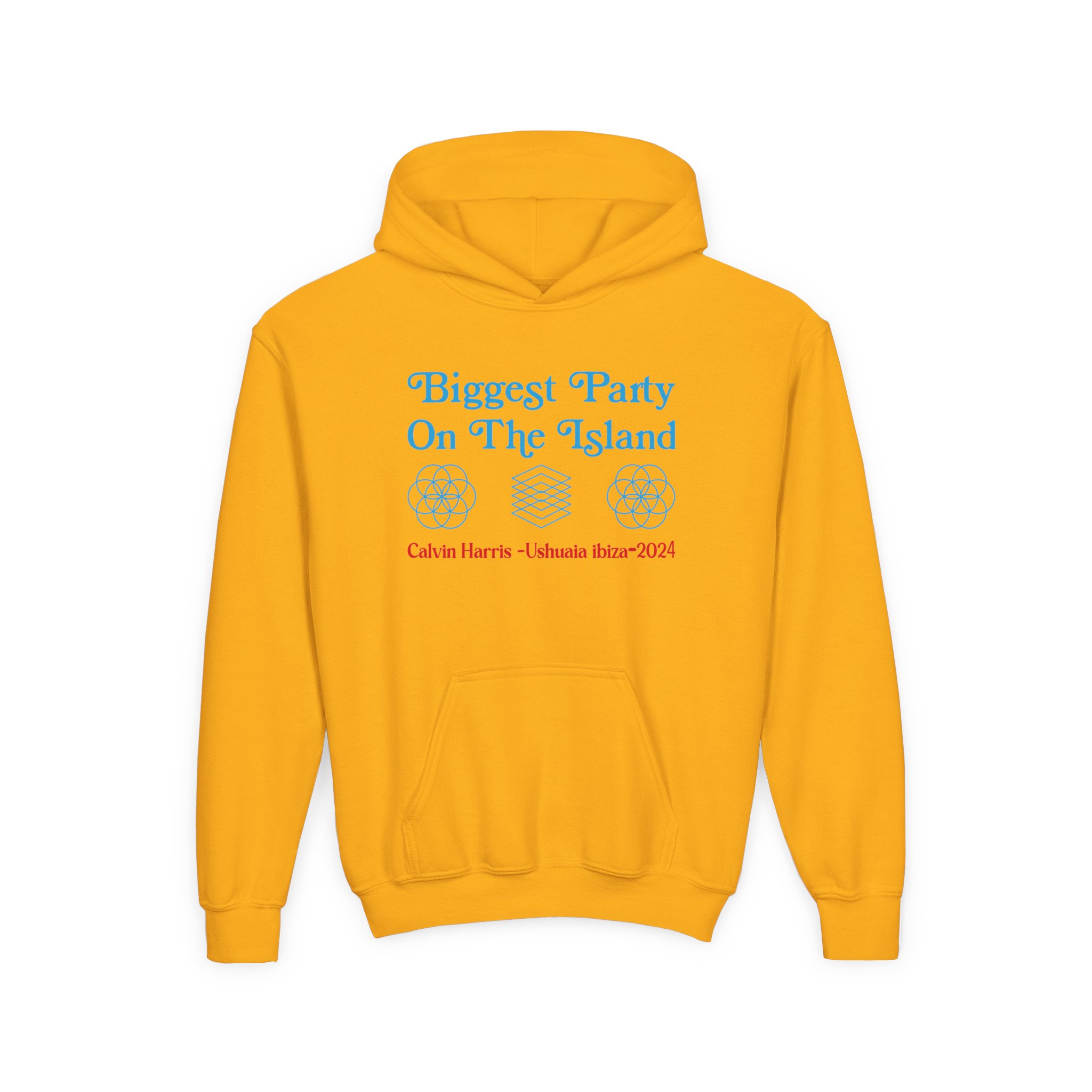 Youth Calvin Harris Ushuaia Higher Level Heavy Blend Hooded Sweatshirt - Image 7