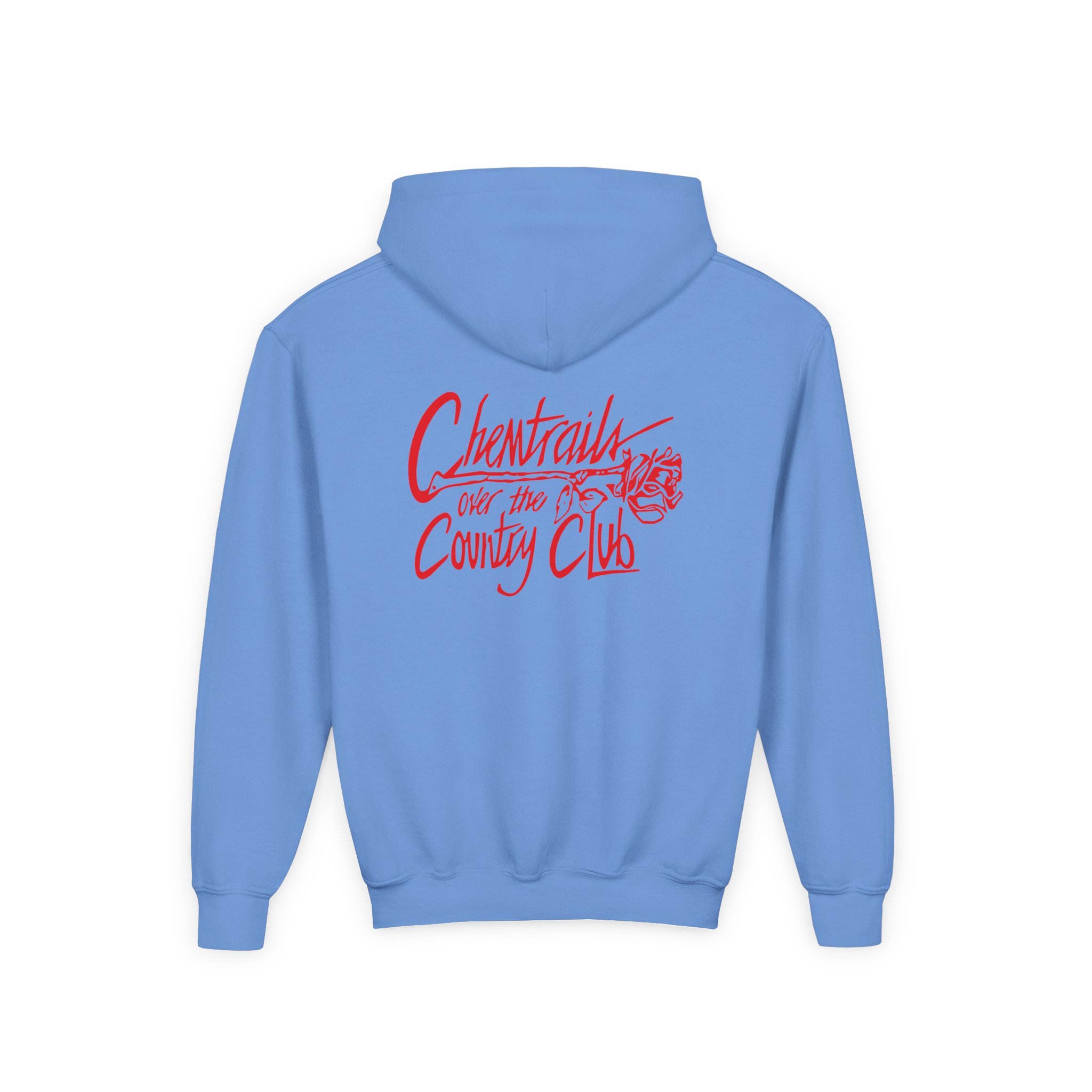 Lanadelrey Chemtrails Over The Country Club Youth Heavy Blend Hooded Sweatshirt - Image 8