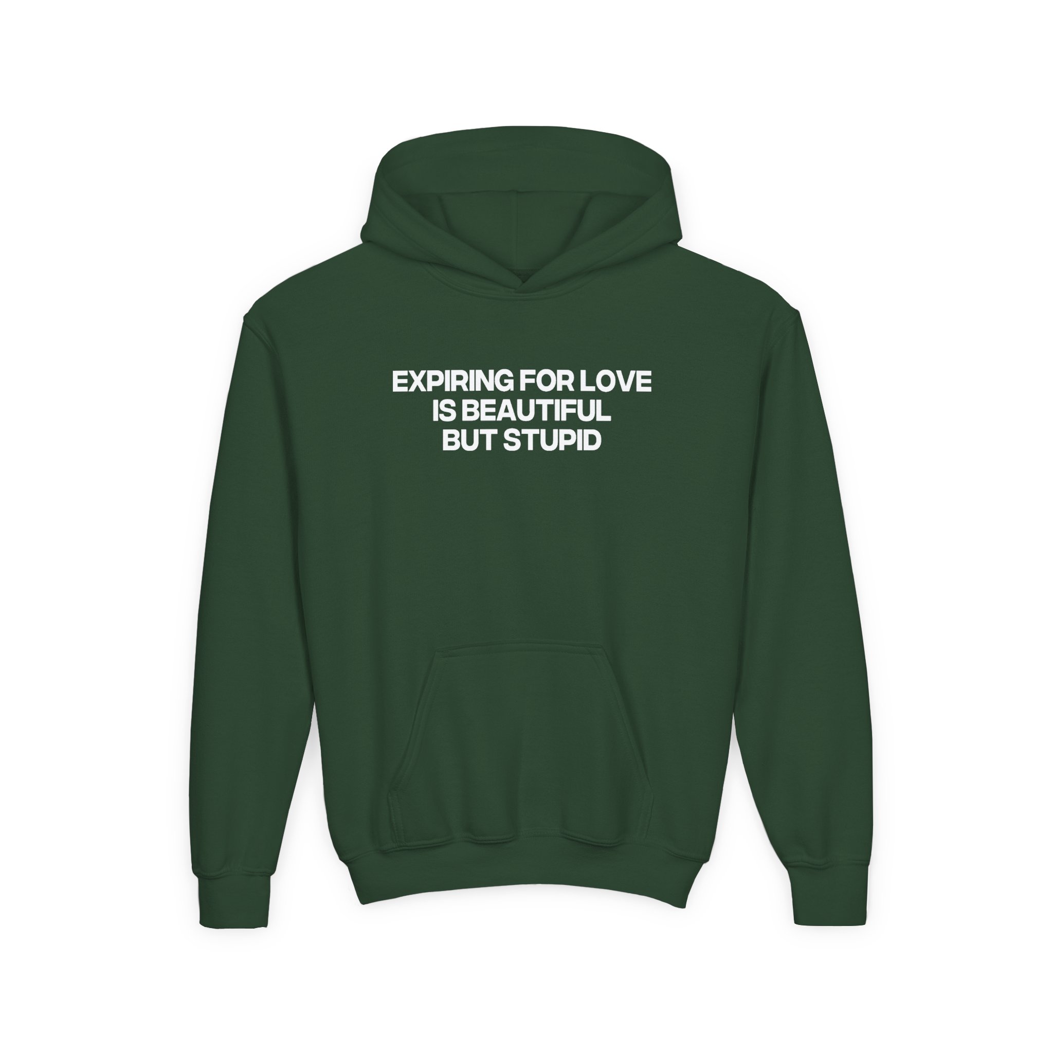 Jenny Holzer Expiring for Love is Beautiful but Stupid Youth Heavy Blend Hooded Sweatshirt - Image 5