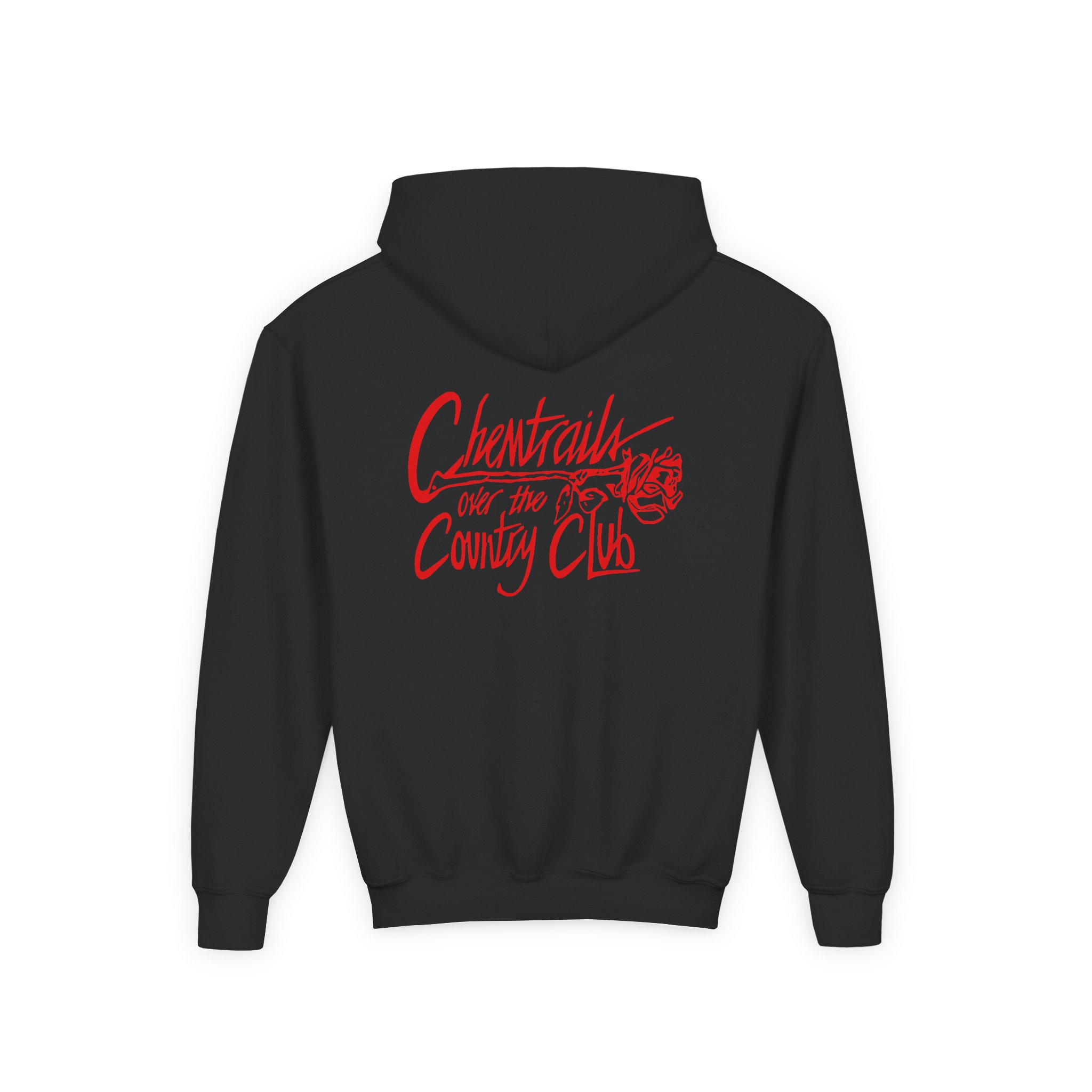 Lanadelrey Chemtrails Over The Country Club Youth Heavy Blend Hooded Sweatshirt - Image 4