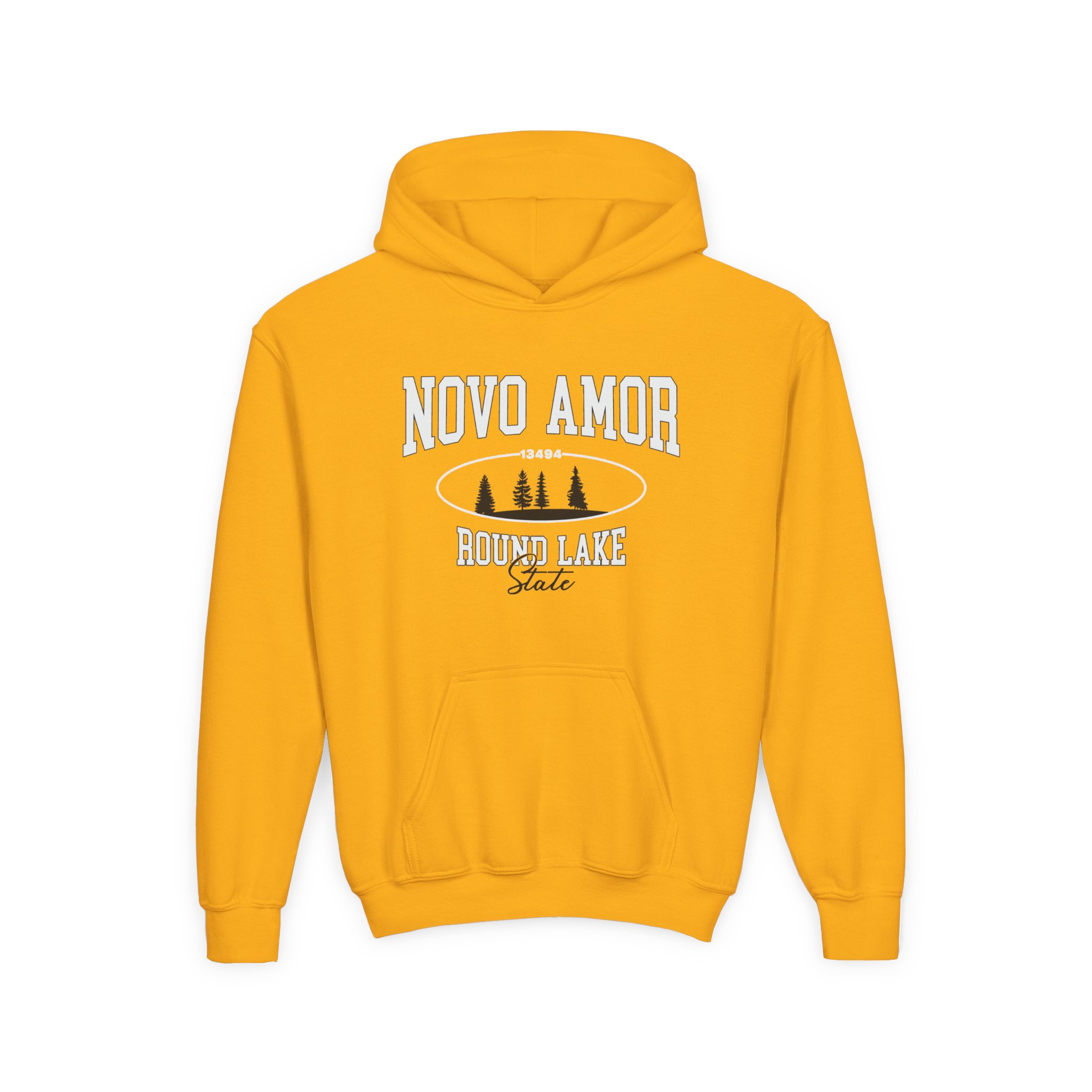 Novo Amor Round Lake State Youth Heavy Blend Hooded Sweatshirt - Image 3