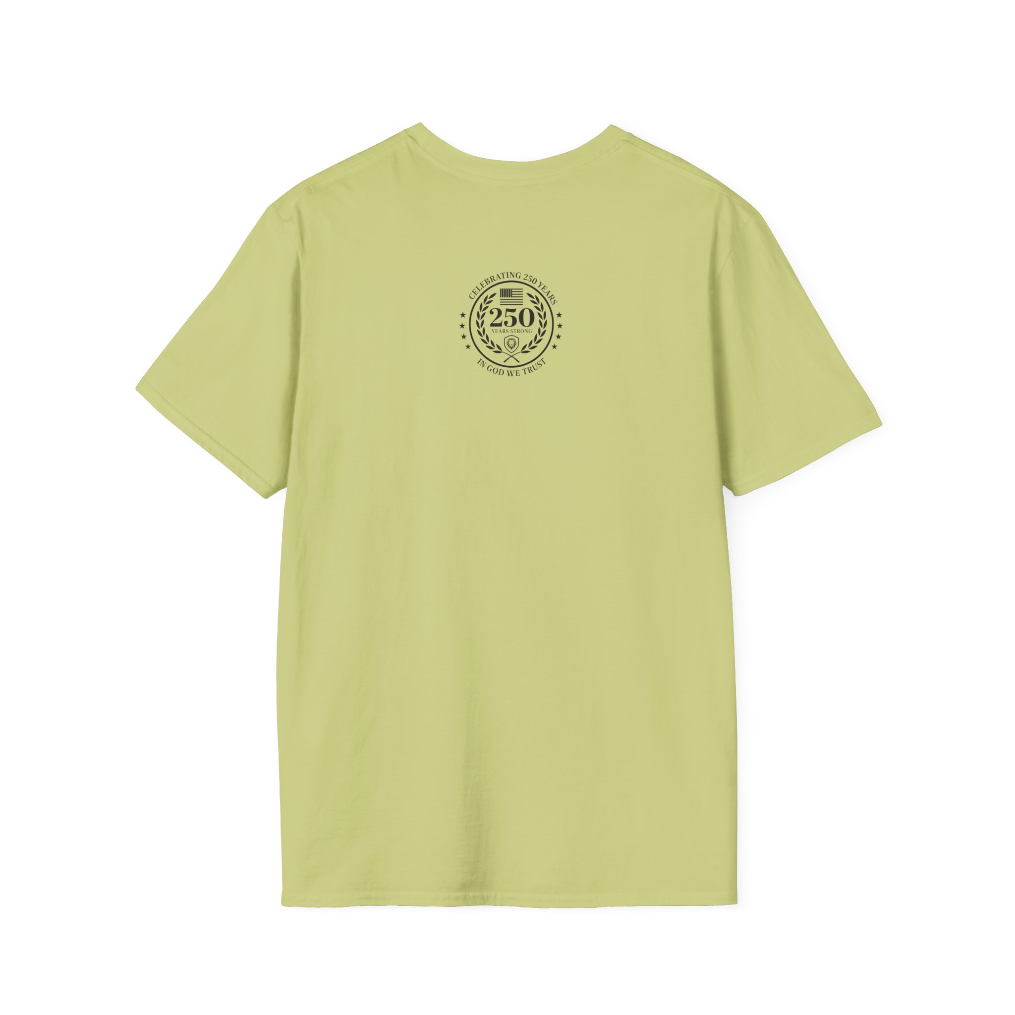 Valuetainment 250 Years No Kings Unisex Softstyle T-Shirt - Image 10