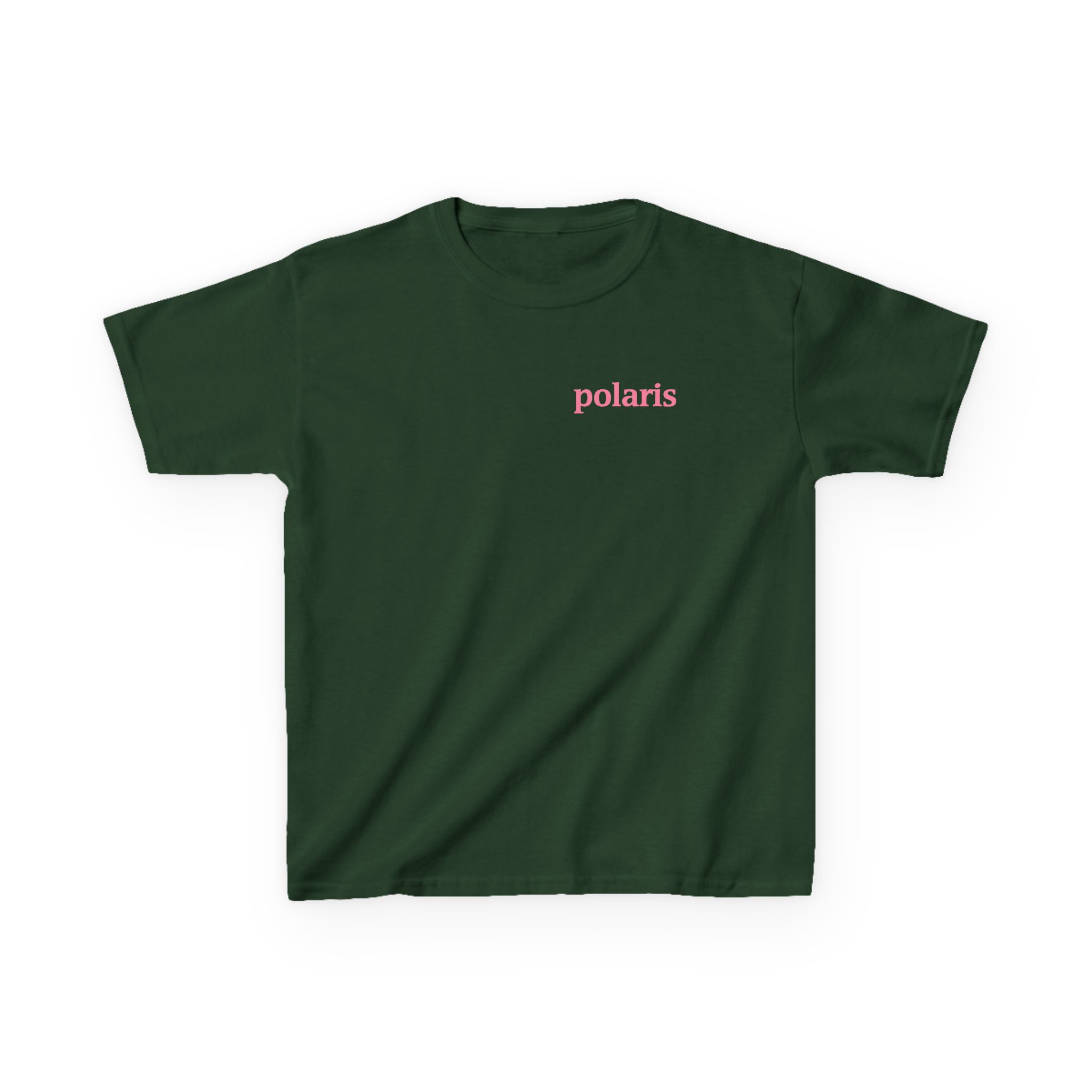 Polaris Devils Wings Kids Heavy Cotton™ Tee - Image 5