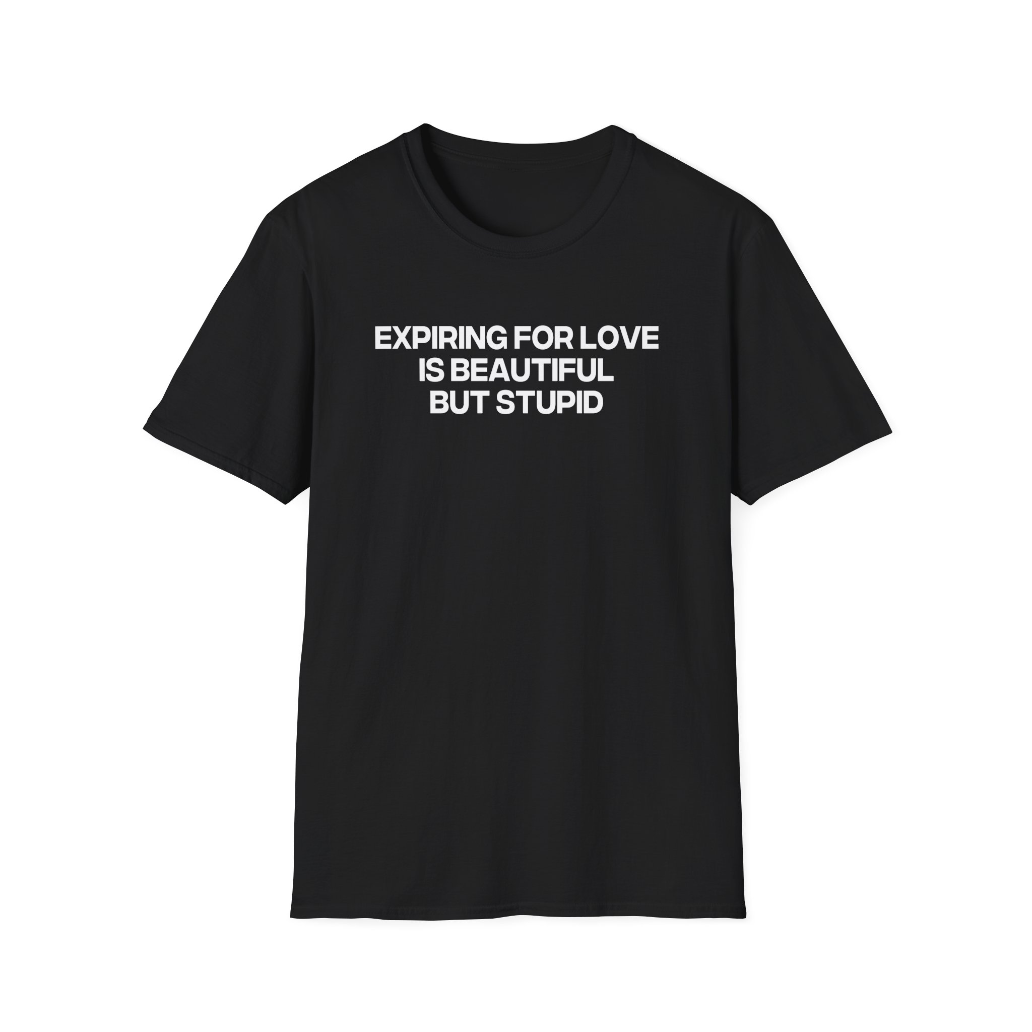 Jenny Holzer Expiring for Love is Beautiful but Stupid Unisex Softstyle T-Shirt