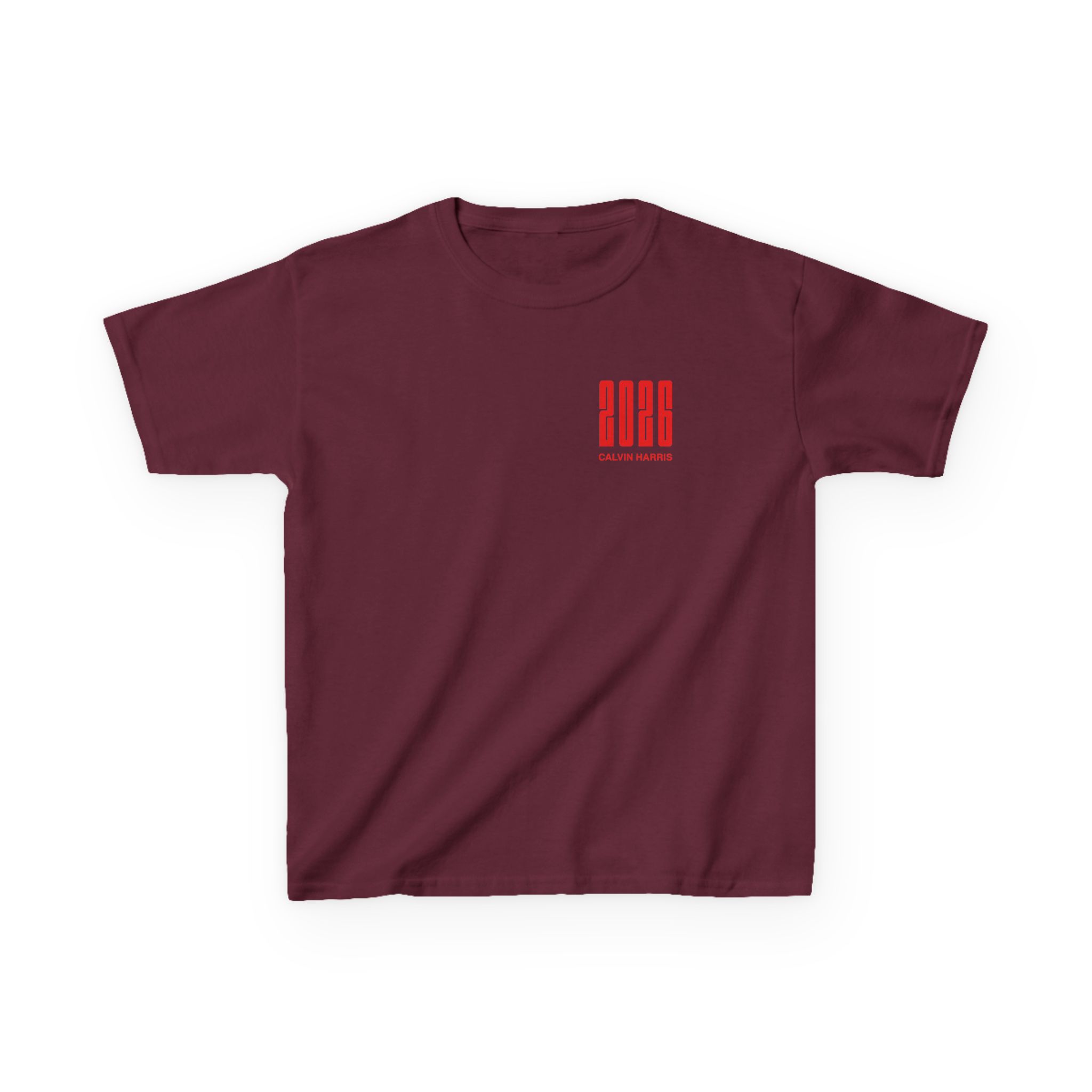 Kids Calvin Harris Malahide Castle Tour Heavy Cotton™ Tee - Image 3