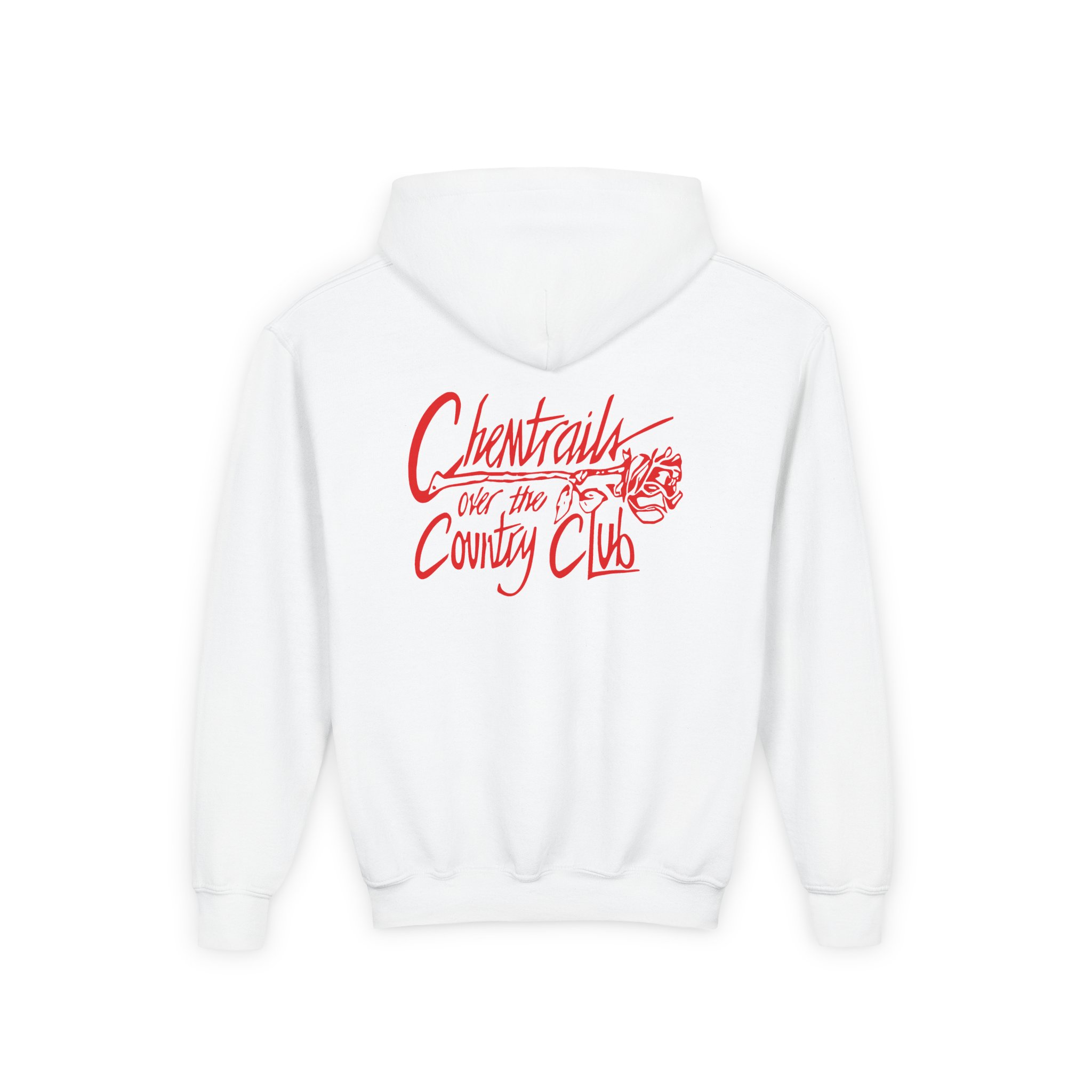 Lanadelrey Chemtrails Over The Country Club Youth Heavy Blend Hooded Sweatshirt - Image 2
