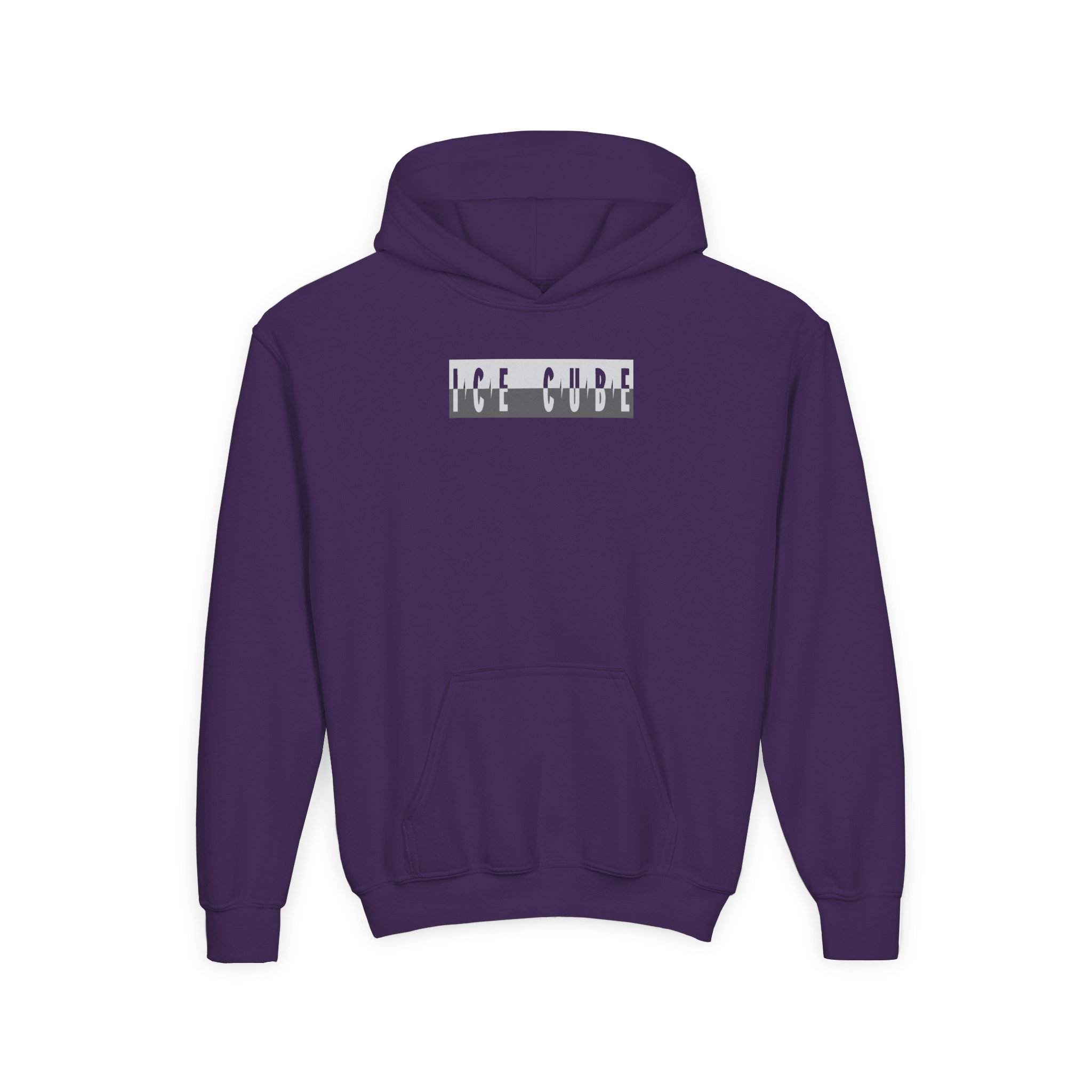 Ice Cube Photo Tour Youth Heavy Blend Hooded Sweatshirt - Image 9