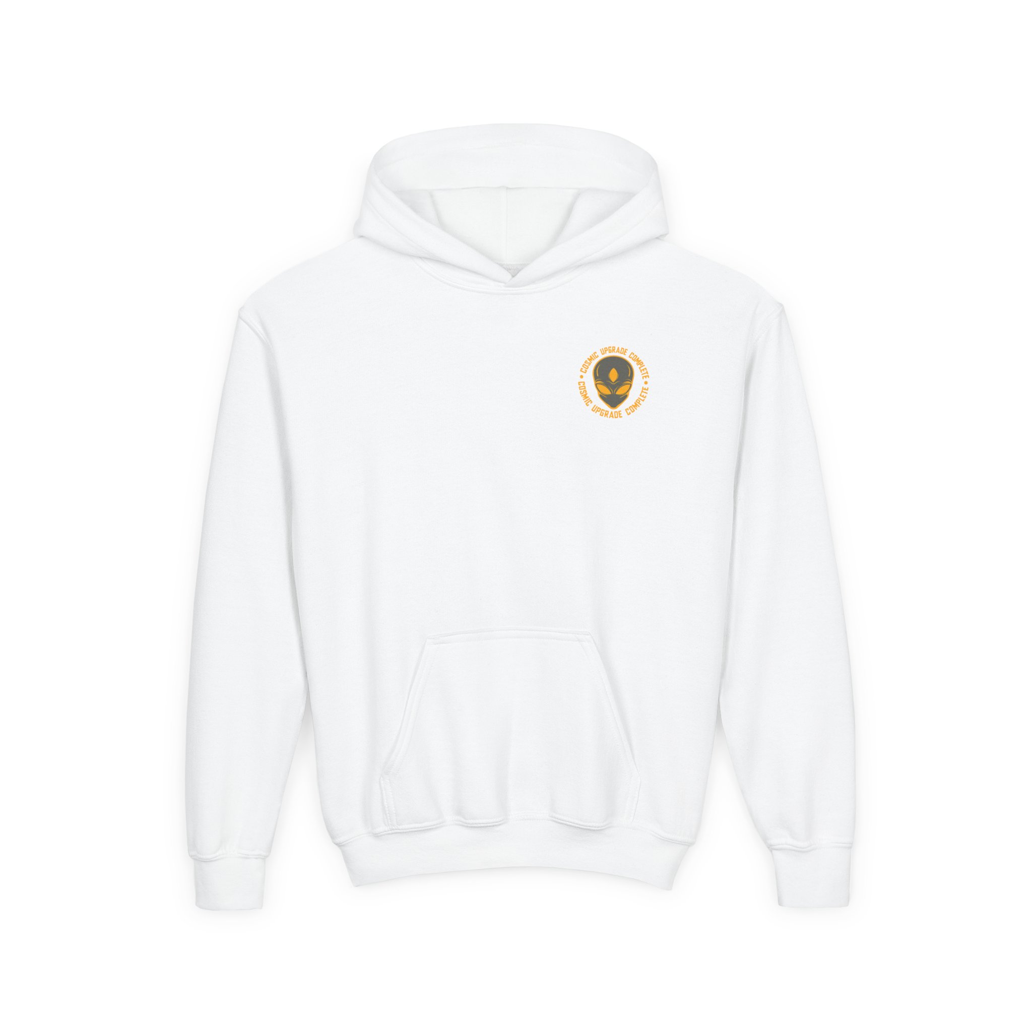 Lsdream Cosmic Upgrade Youth Heavy Blend Hooded Sweatshirt
