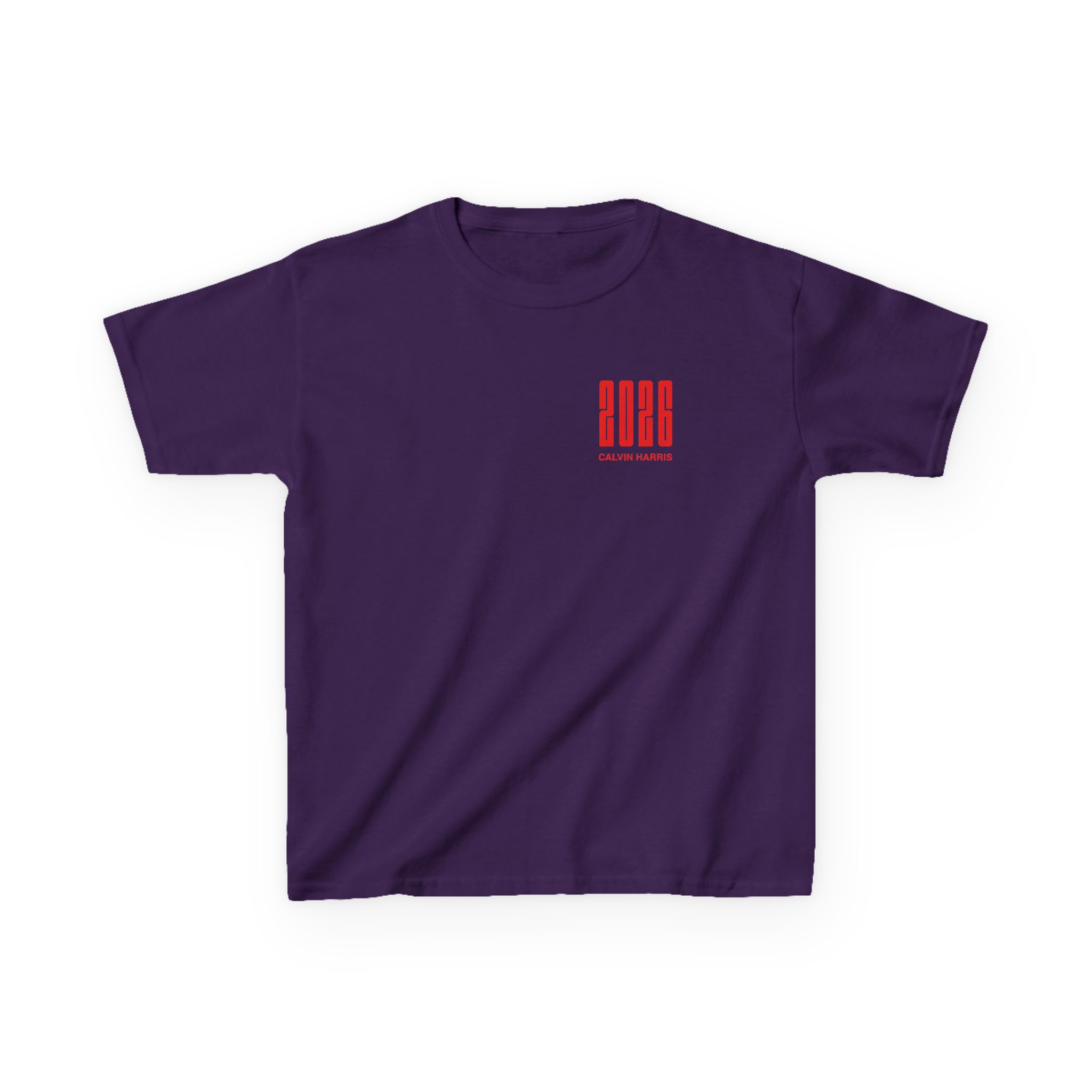 Kids Calvin Harris Malahide Castle Tour Heavy Cotton™ Tee - Image 11