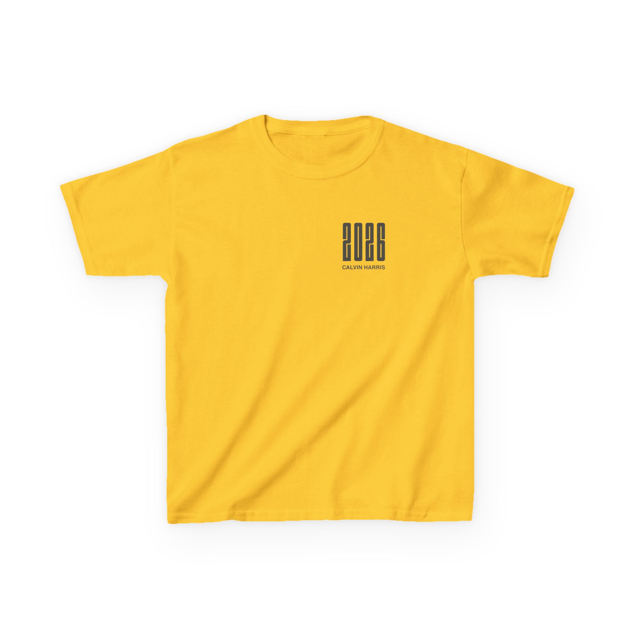 Kids Calvin Harris Malahide Castle Tour Heavy Cotton™ Tee - Image 15