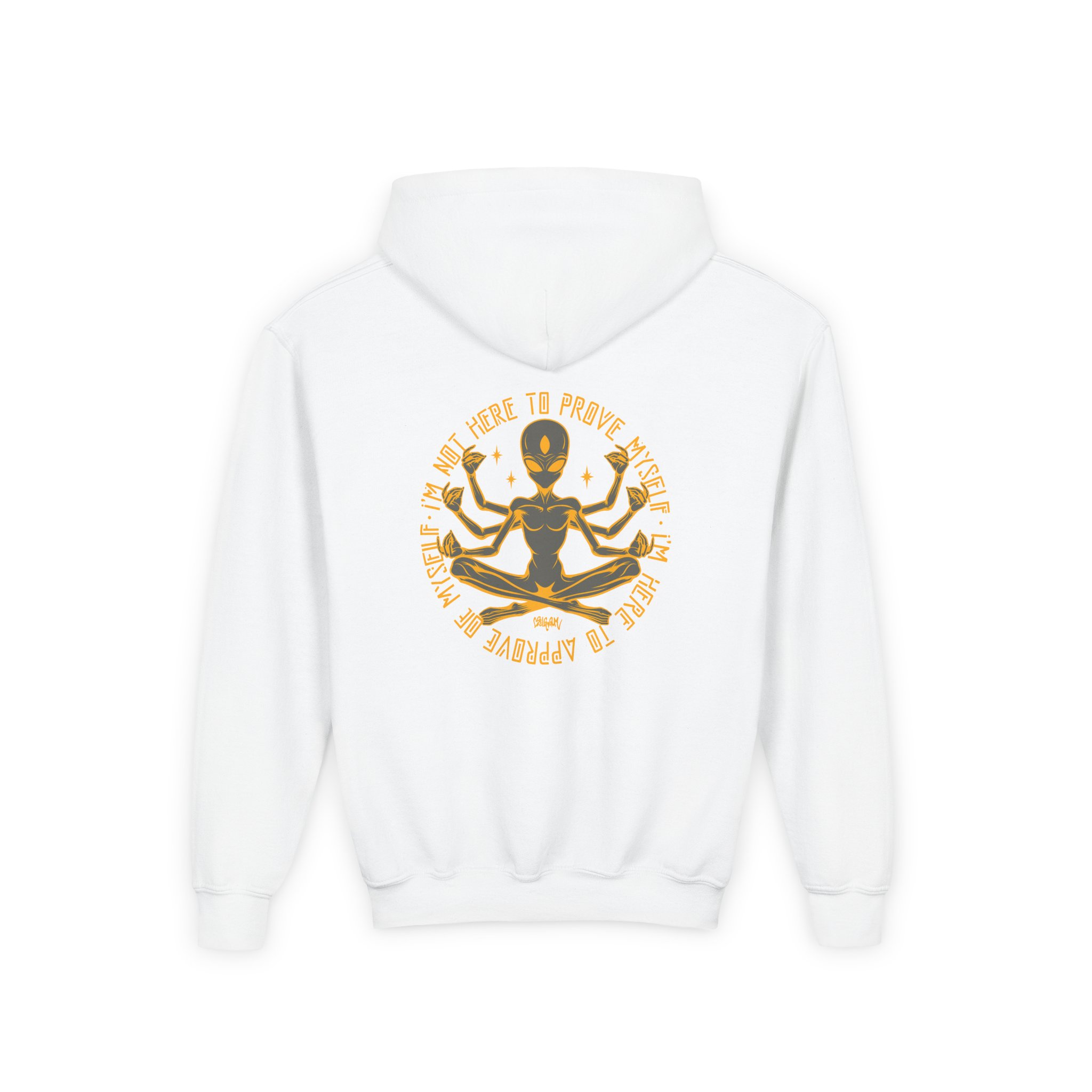 Lsdream Cosmic Upgrade Youth Heavy Blend Hooded Sweatshirt - Image 2