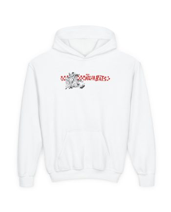 The Aquabats Baseball Youth Heavy Blend Hooded Sweatshirt