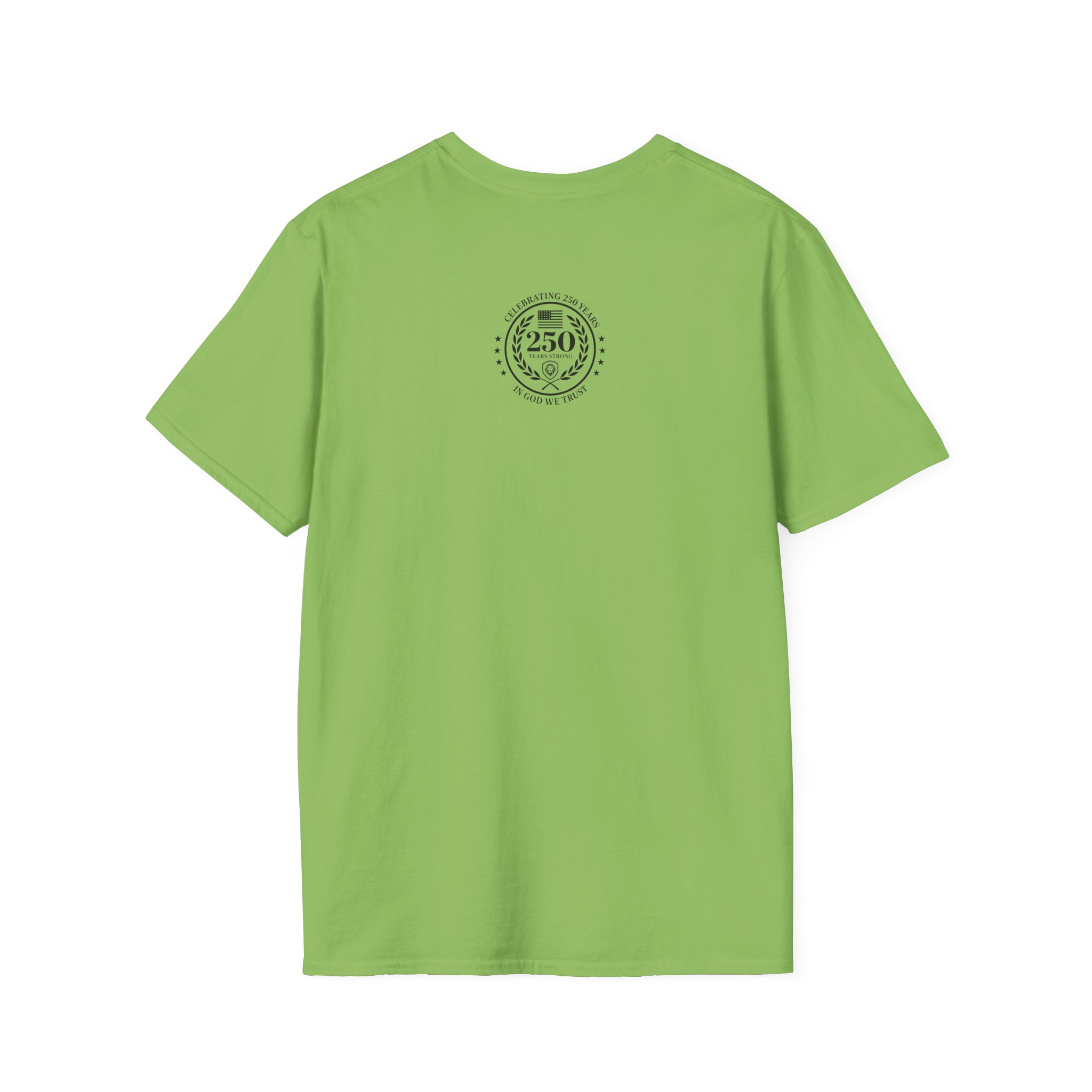 Valuetainment 250 Years No Kings Unisex Softstyle T-Shirt - Image 14