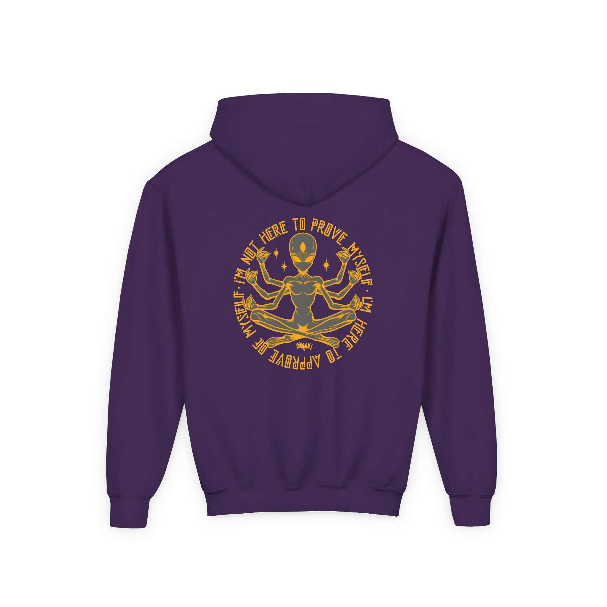 Lsdream Cosmic Upgrade Youth Heavy Blend Hooded Sweatshirt - Image 16