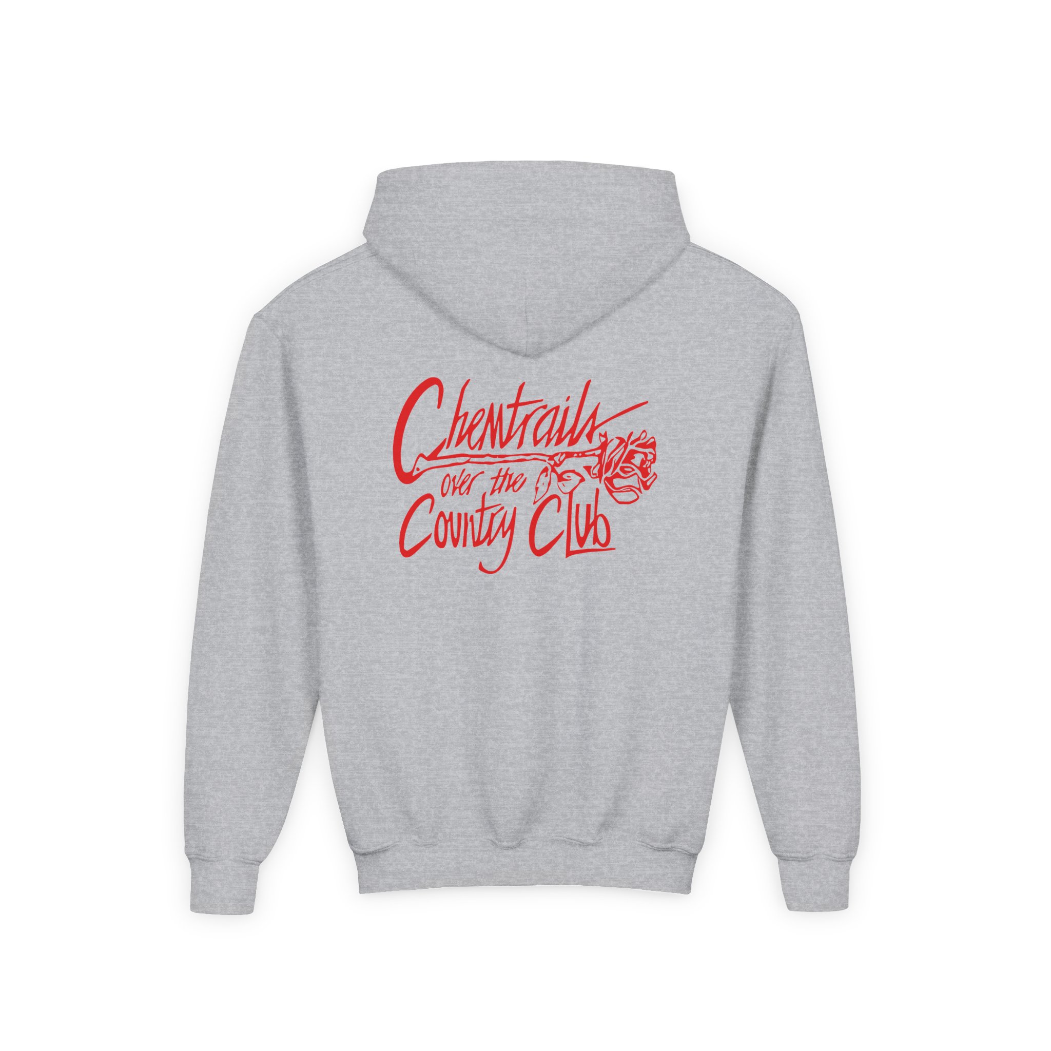 Lanadelrey Chemtrails Over The Country Club Youth Heavy Blend Hooded Sweatshirt - Image 6