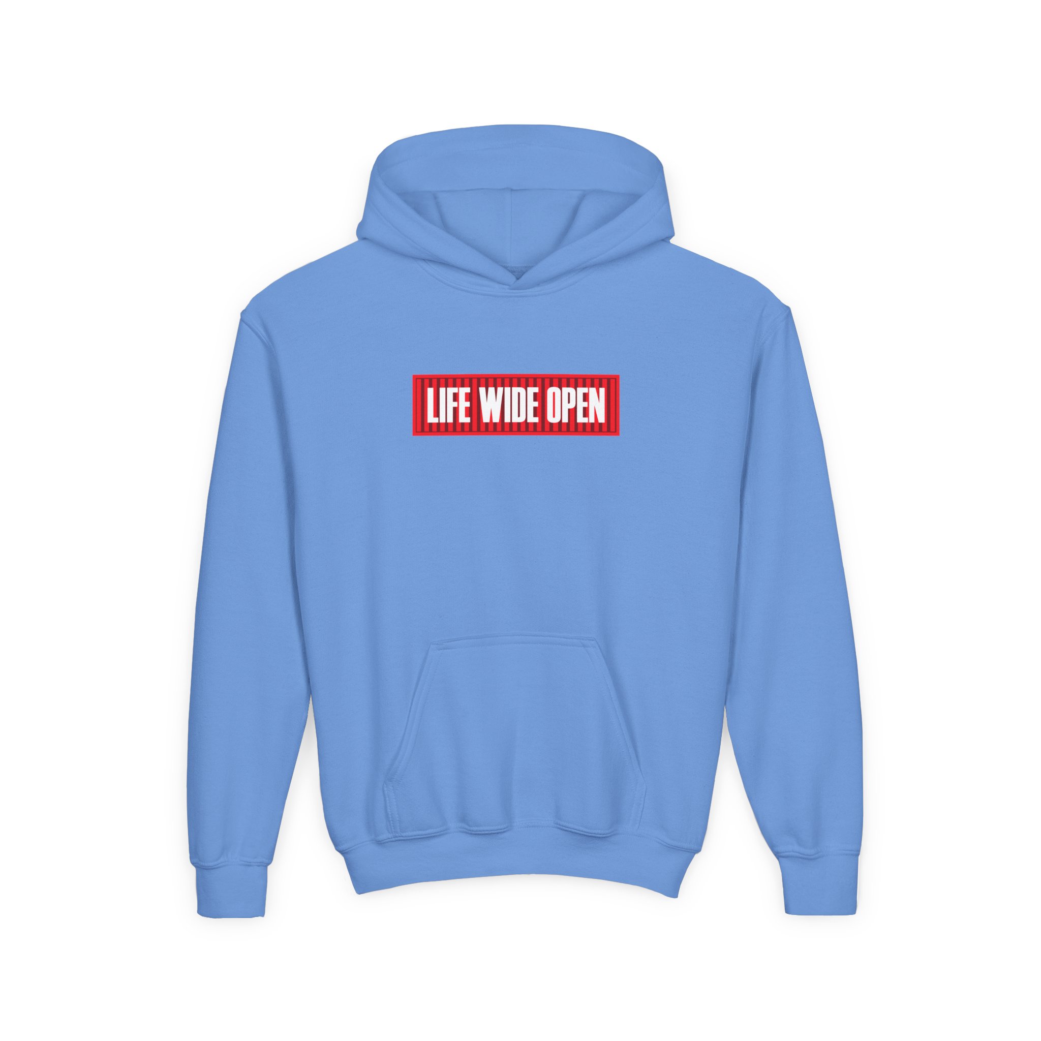 Cboystv LWO Container Youth Heavy Blend Hooded Sweatshirt - Image 13