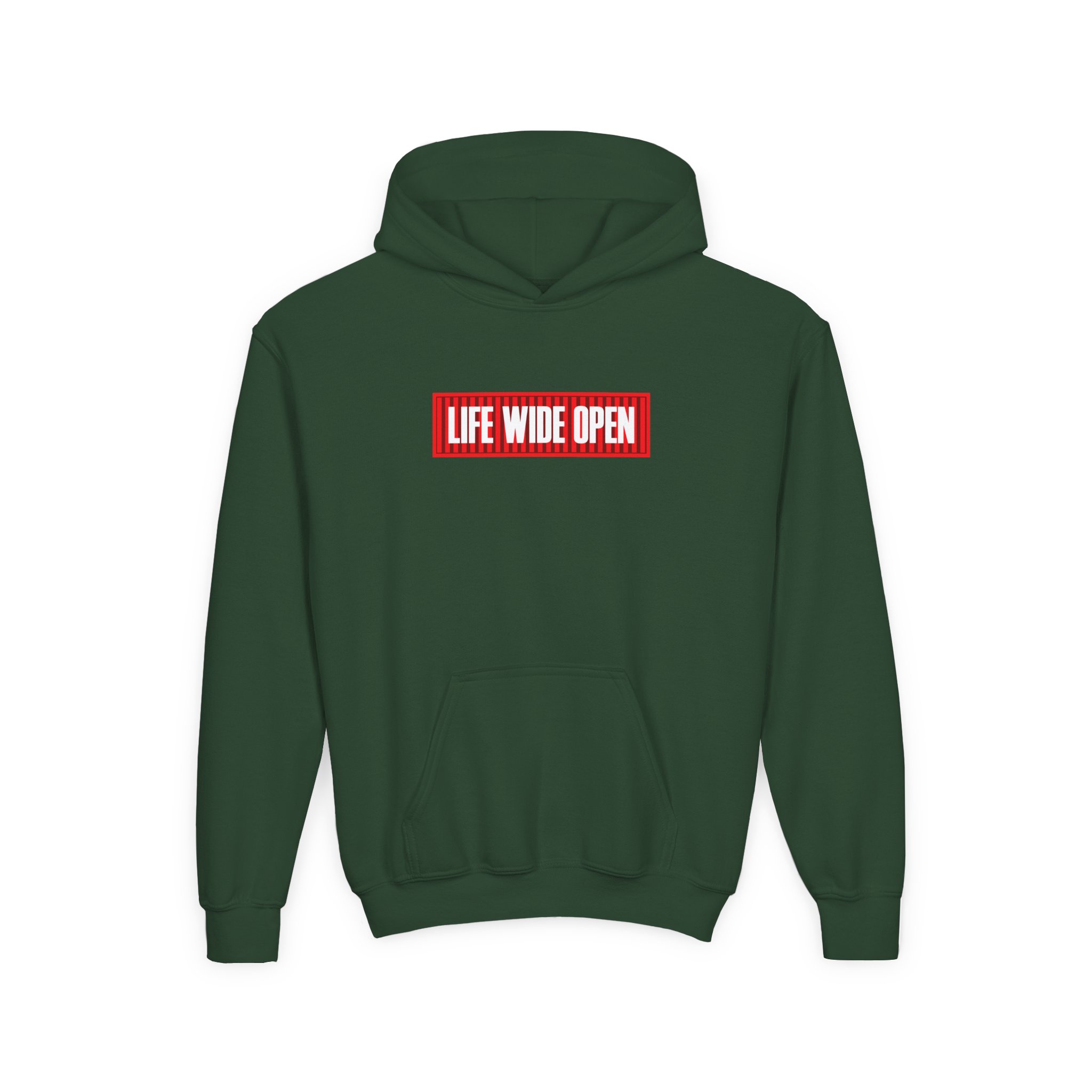 Cboystv LWO Container Youth Heavy Blend Hooded Sweatshirt - Image 9
